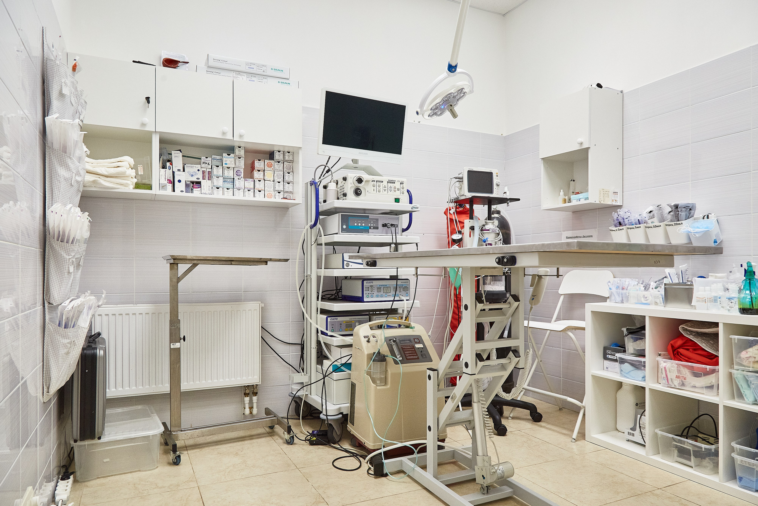 Ветеринарная клиника Косточка на Дальневосточном пр. Фотограф Анастасия Леонтьева Санкт-Петербург