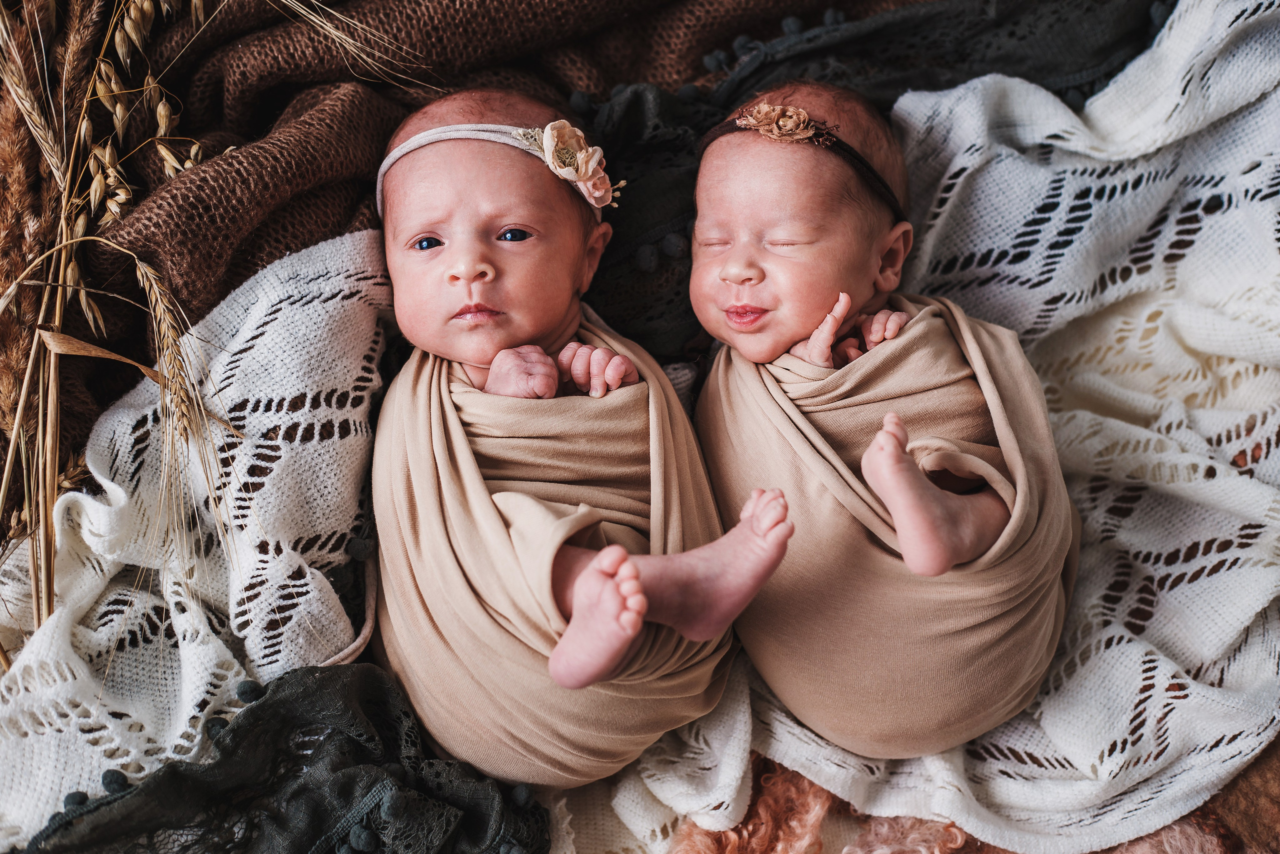 Таисия и Есения, пакет «Стандарт», 21 день. Фотограф новорождённых Екатерина Боброва. Ульяновск