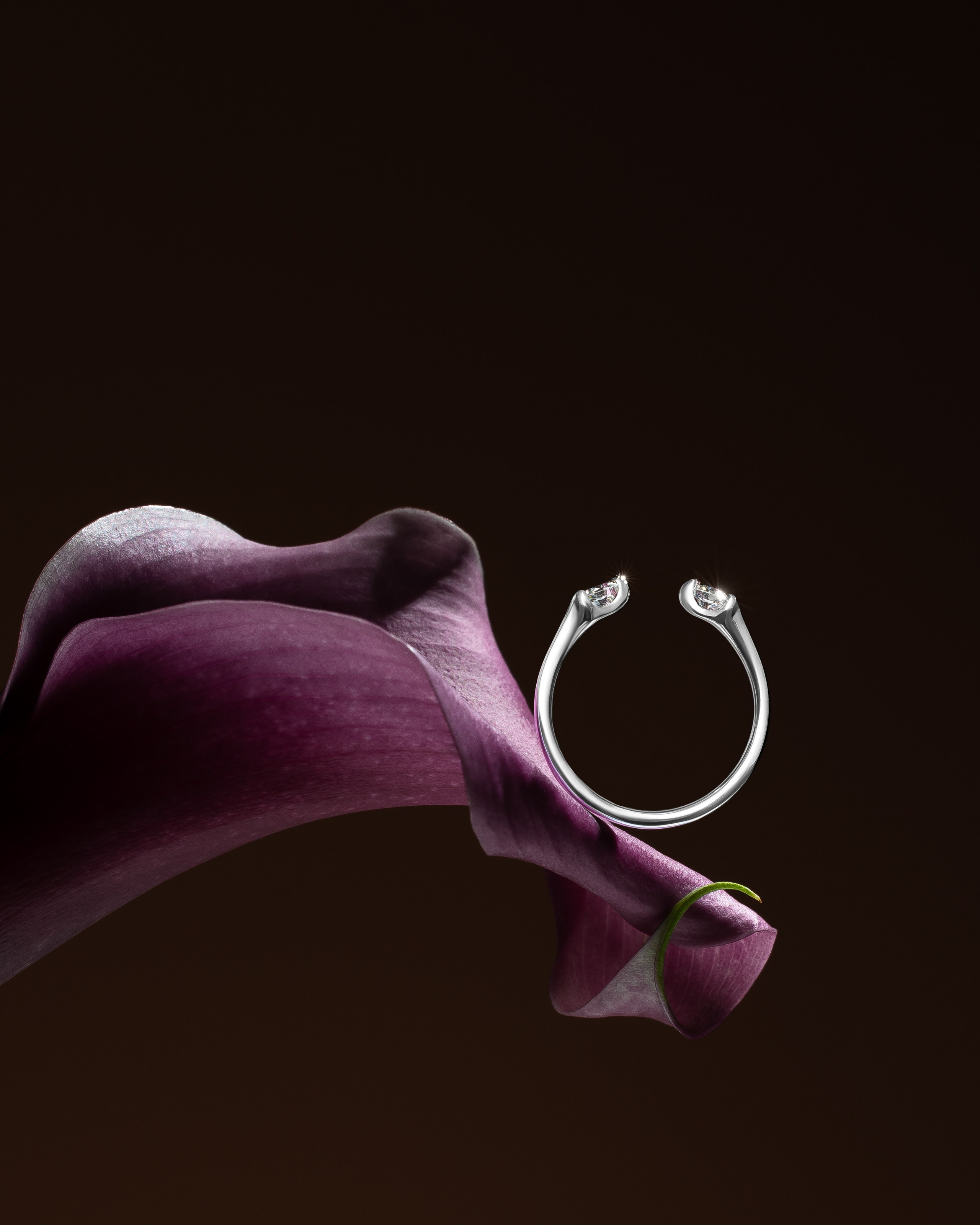 Украшения. Предметная фотография