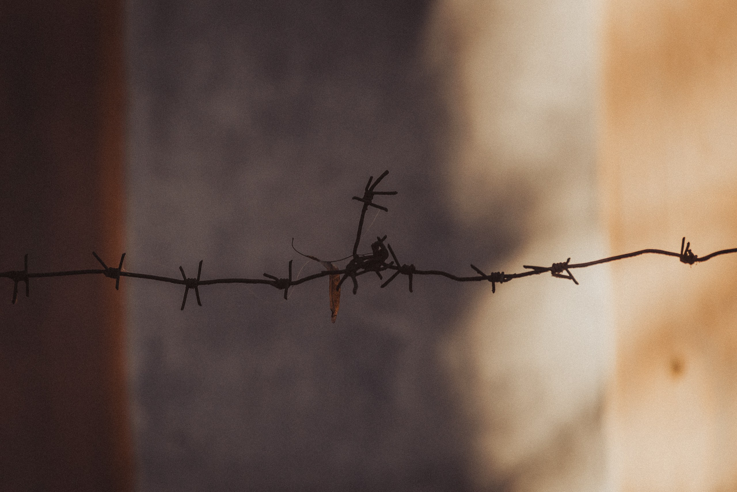 Проект #улицыгорода. Ярославль, улица Лизы Чайкиной. Документальный фотограф Илья Тихановский