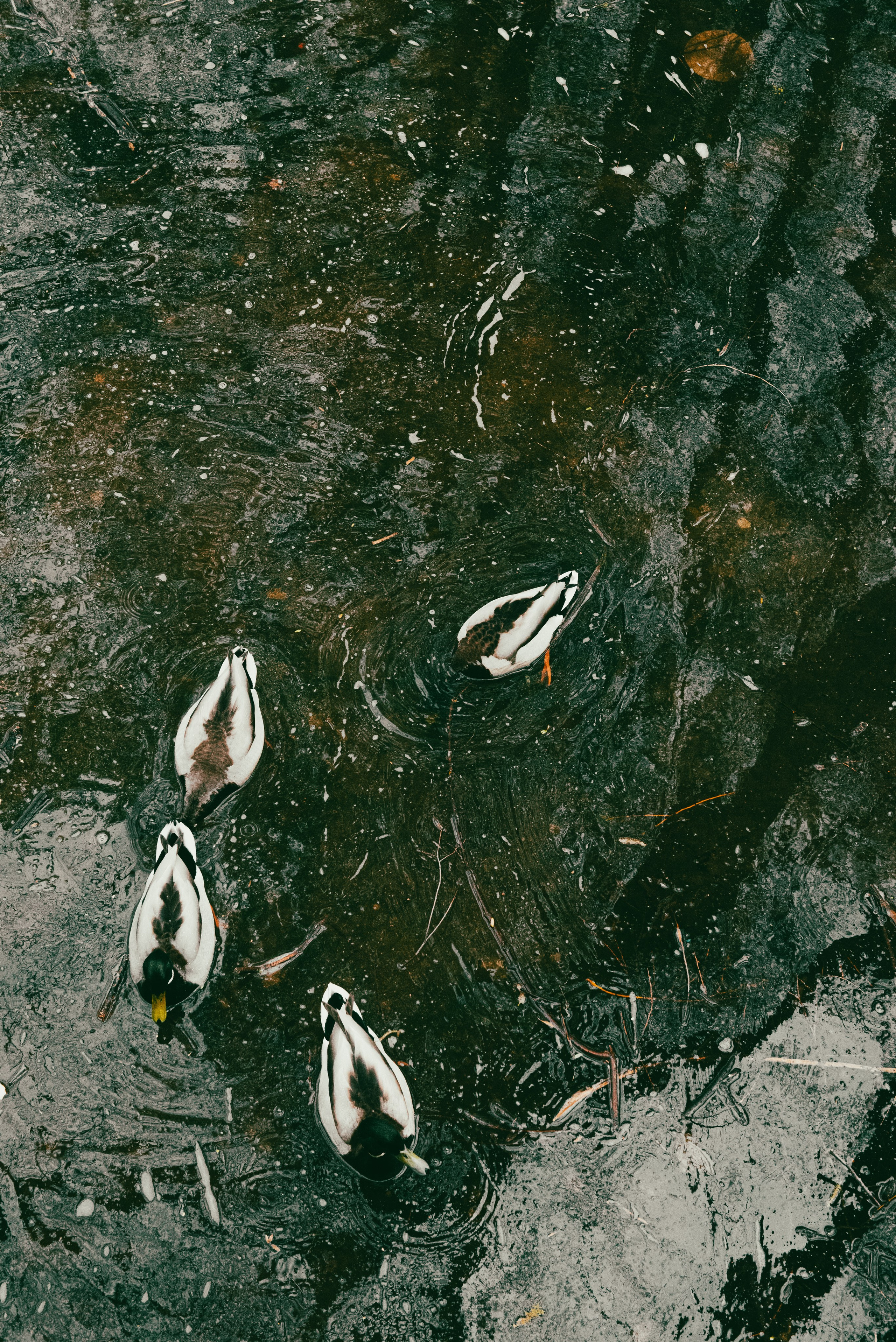 Текстуры апреля. Портретный и архитектурный фотограф в Москве и Санкт-Петербурге