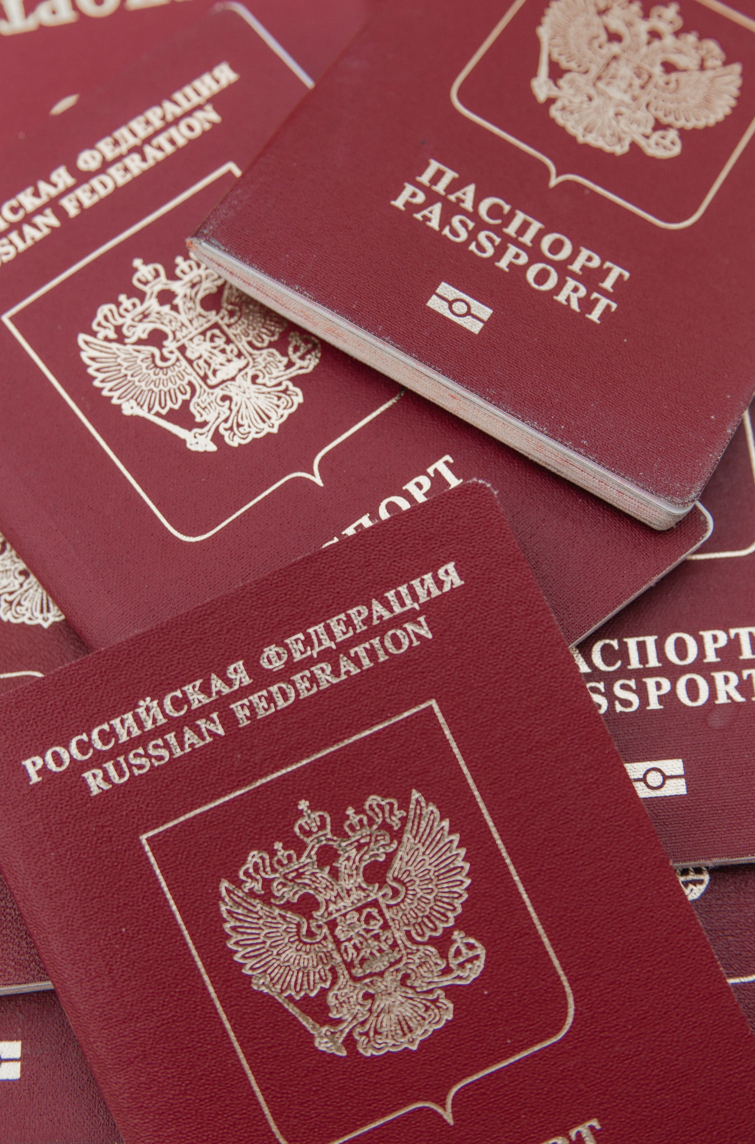 Съемка для продвижения личного бренда. Коммерческий фотограф в Москве, Наталия Горячева