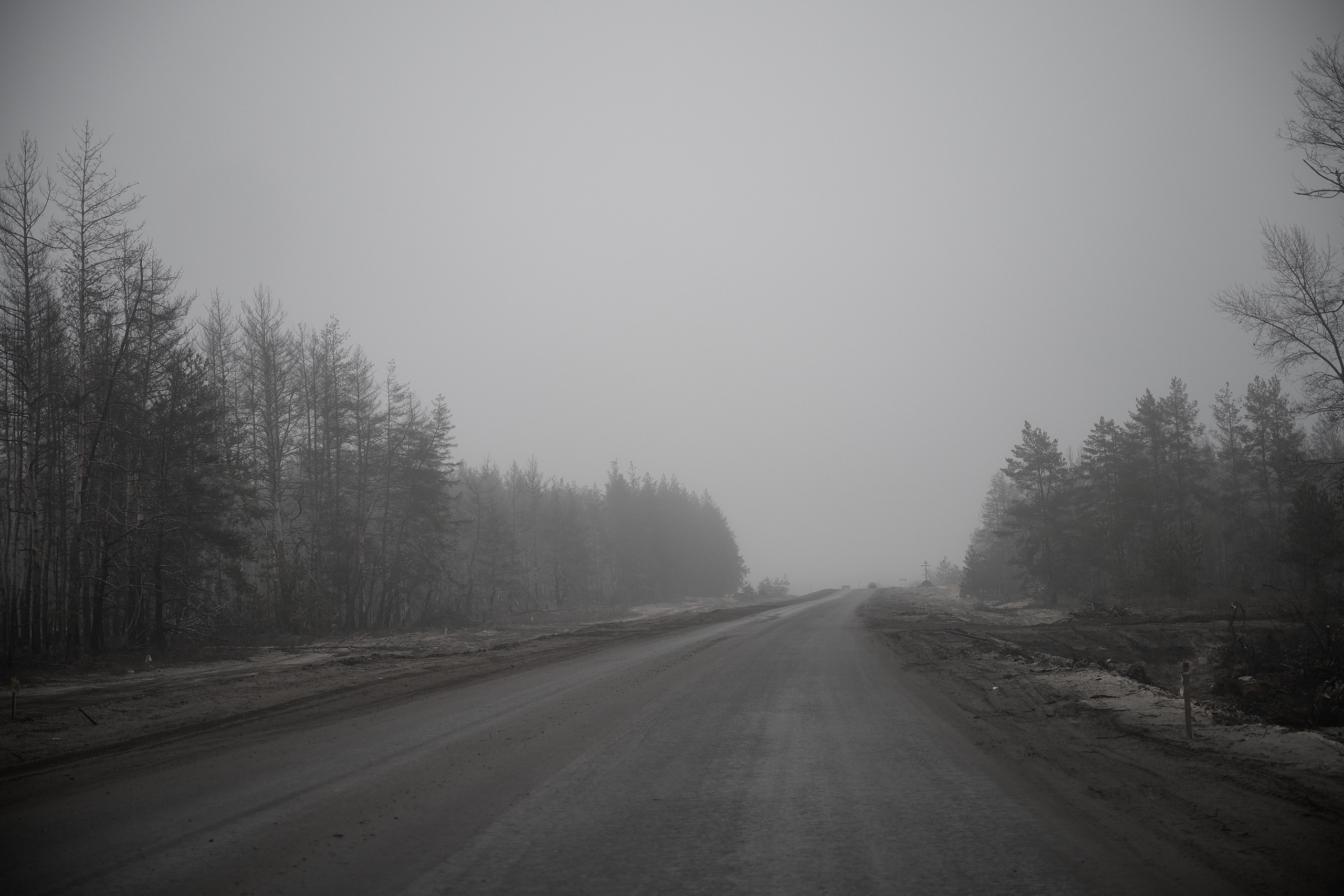 Дорога домой. Туман. Фотограф Роман Адлер