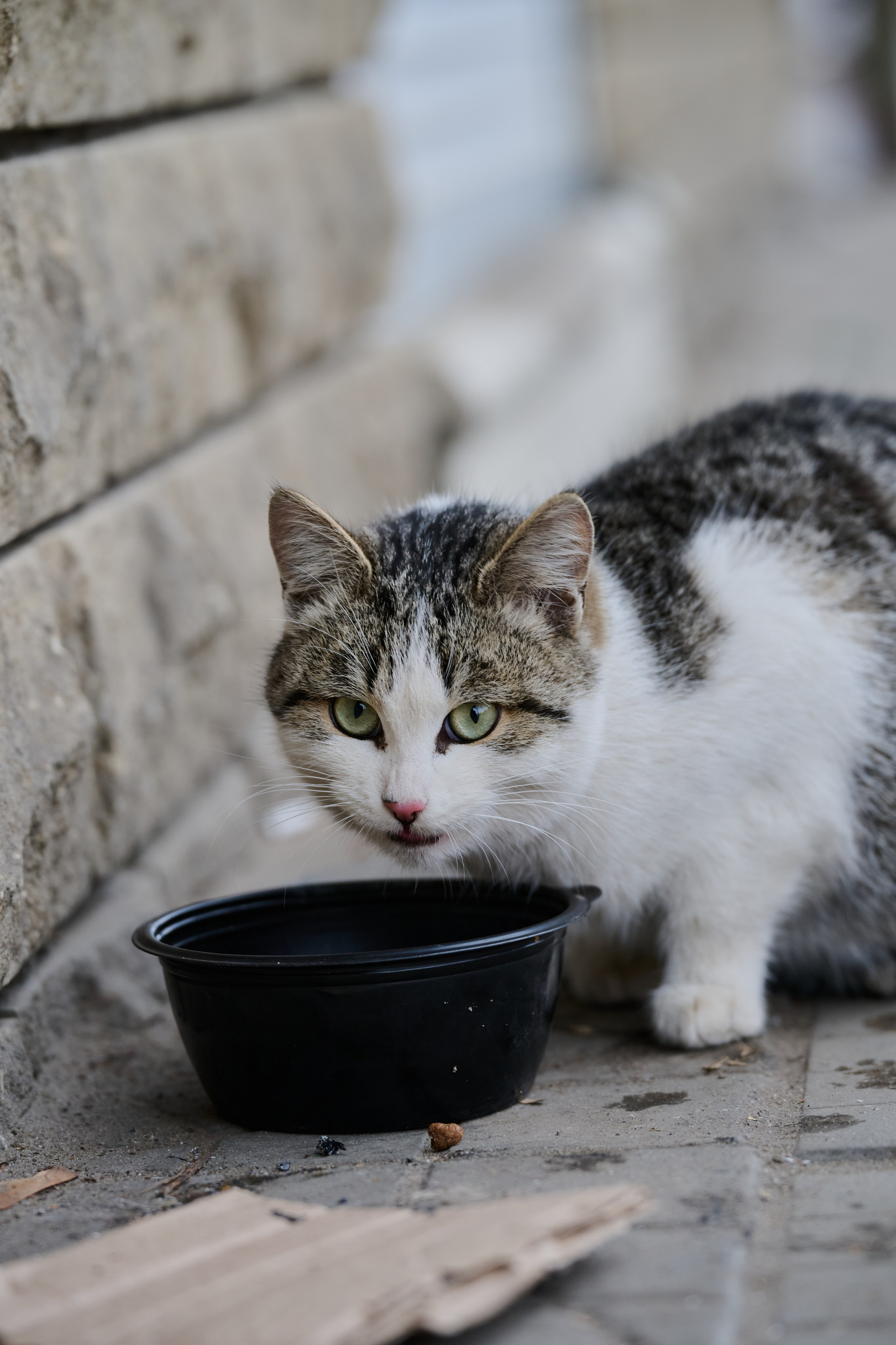 Северодонецк (Луганская область). Декабрь 2024. Фотограф Роман Адлер