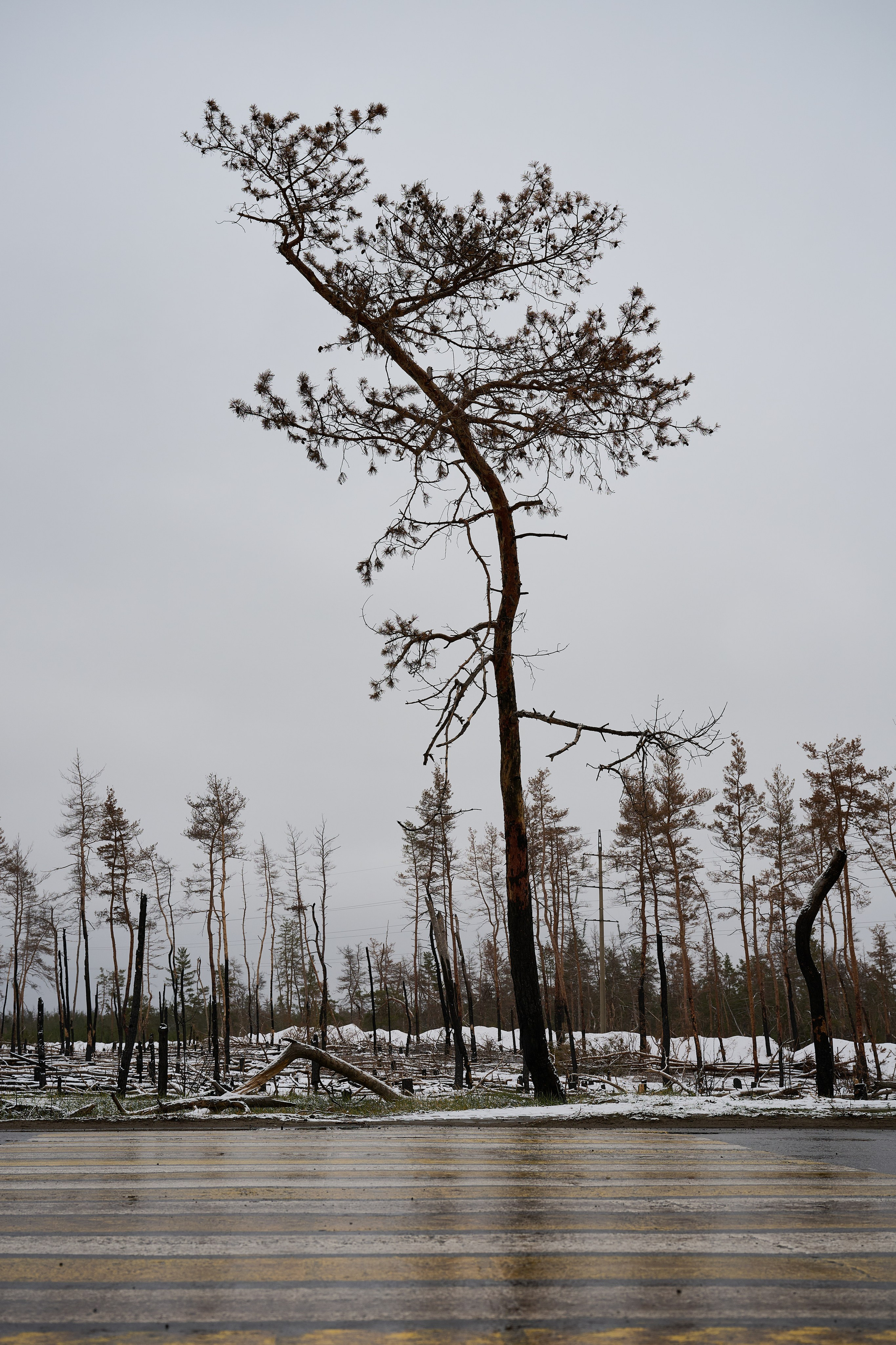 Северодонецк (Луганская область). Декабрь 2024. Фотограф Роман Адлер