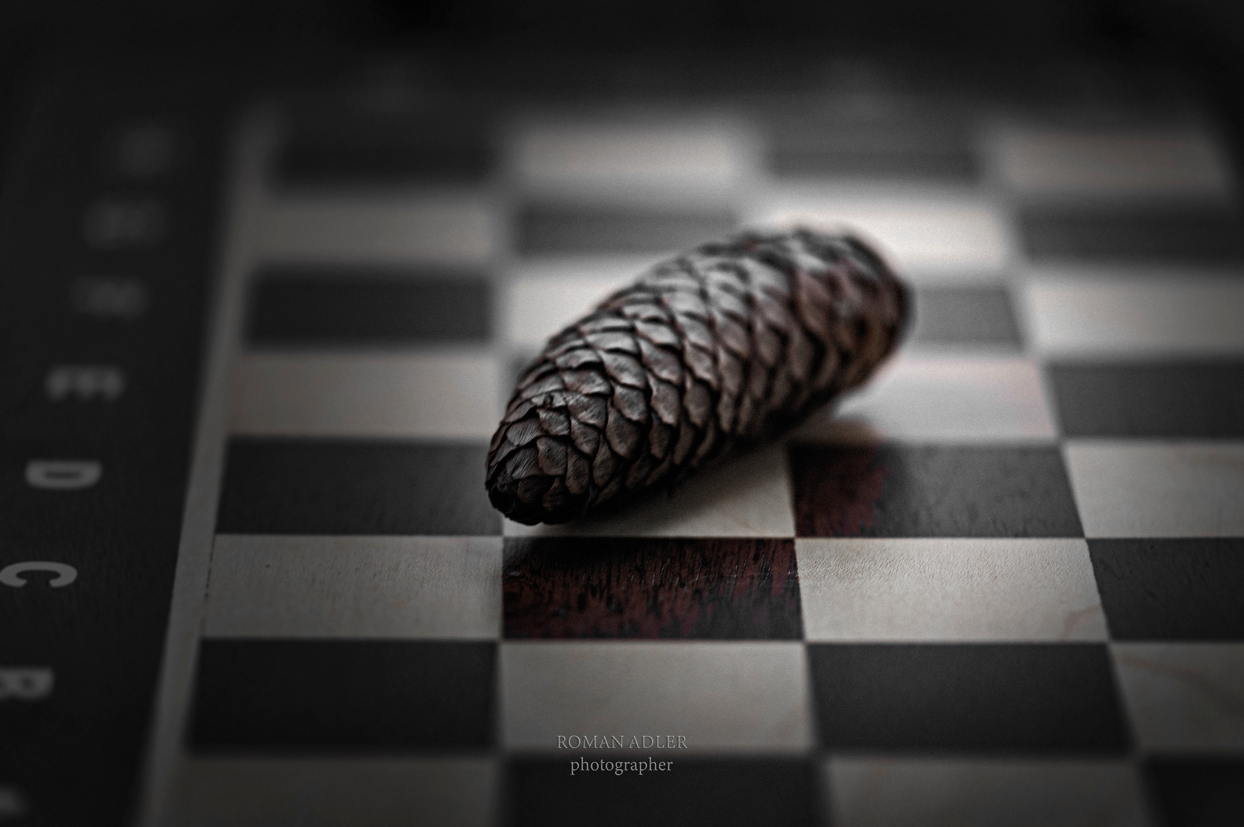 Серия «Последняя партия». Фотограф Роман Адлер