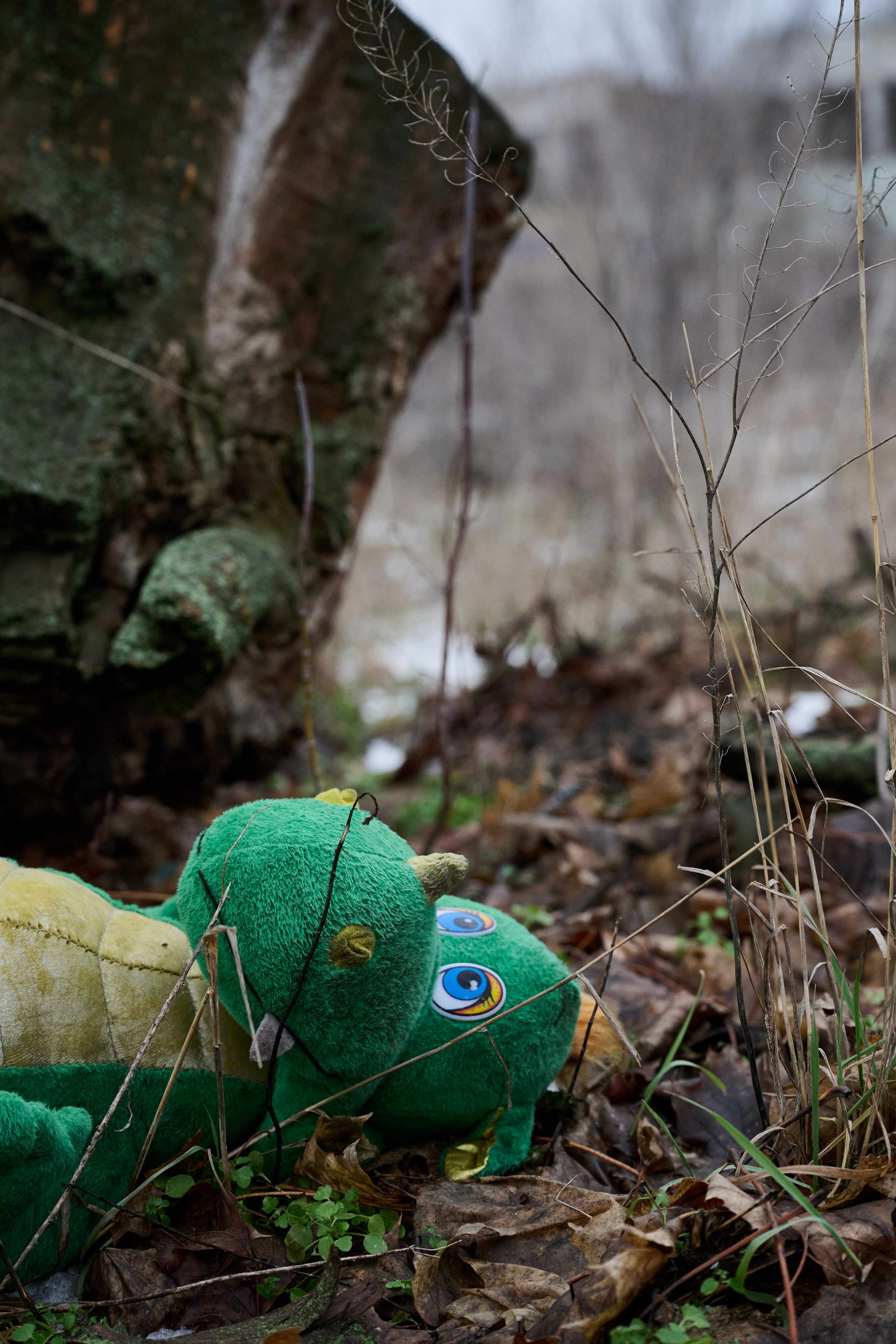 Северодонецк. Январь 2026. Фотограф Роман Адлер