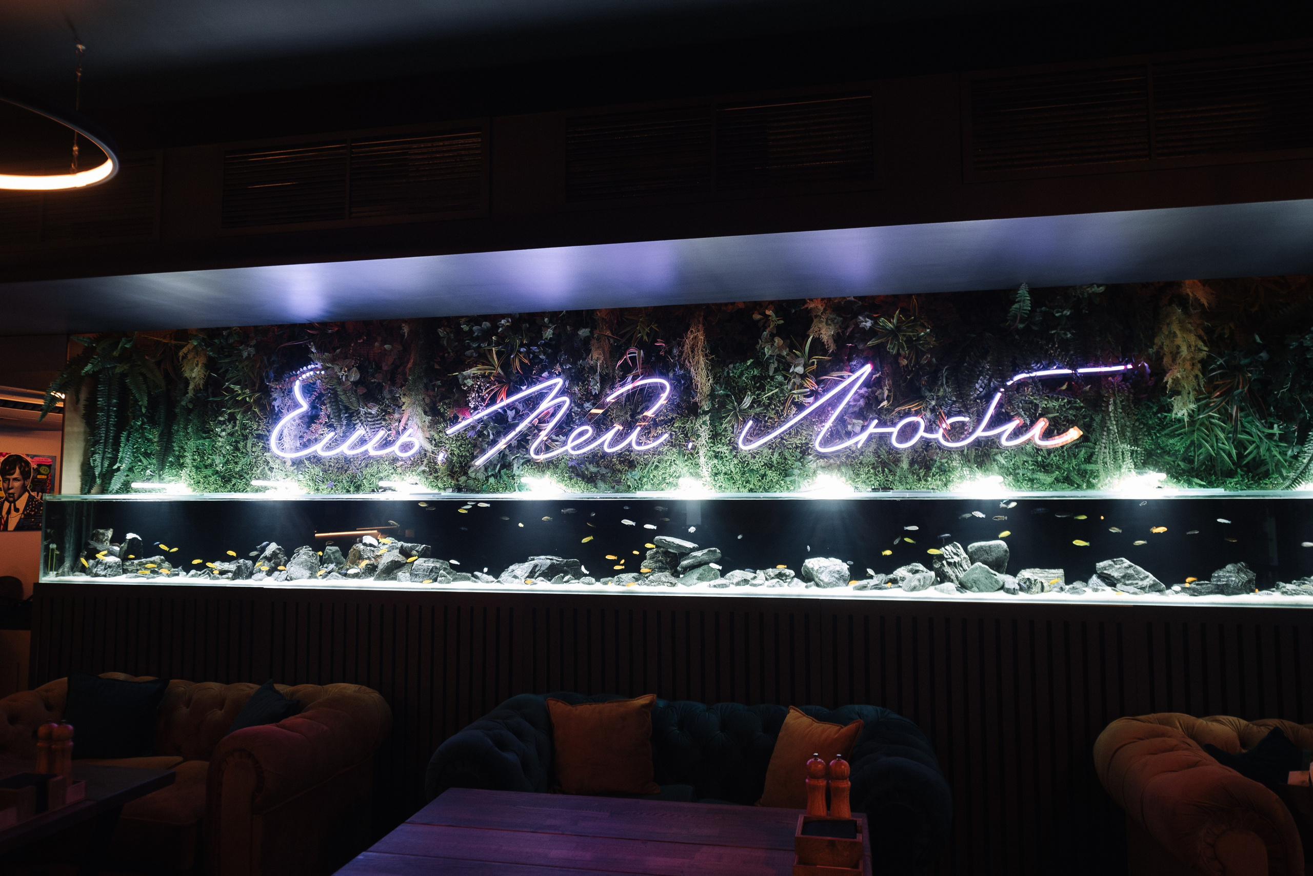 Ночные Клубы, бары, рестораны. Свадебный и репортажный фотограф