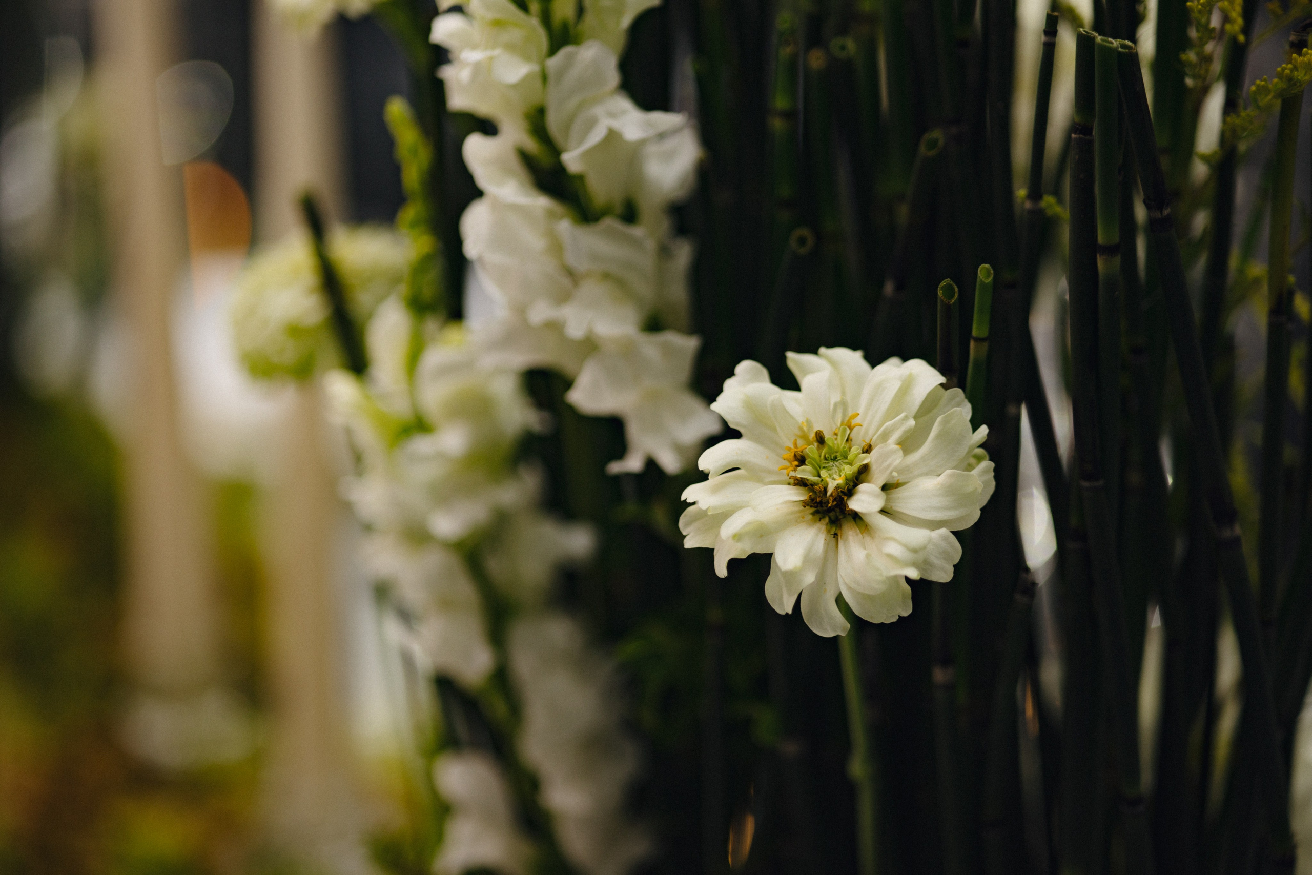 Ксения & Игорь. Оформление свадеб, декор свадеб Вера Маркова, Москва