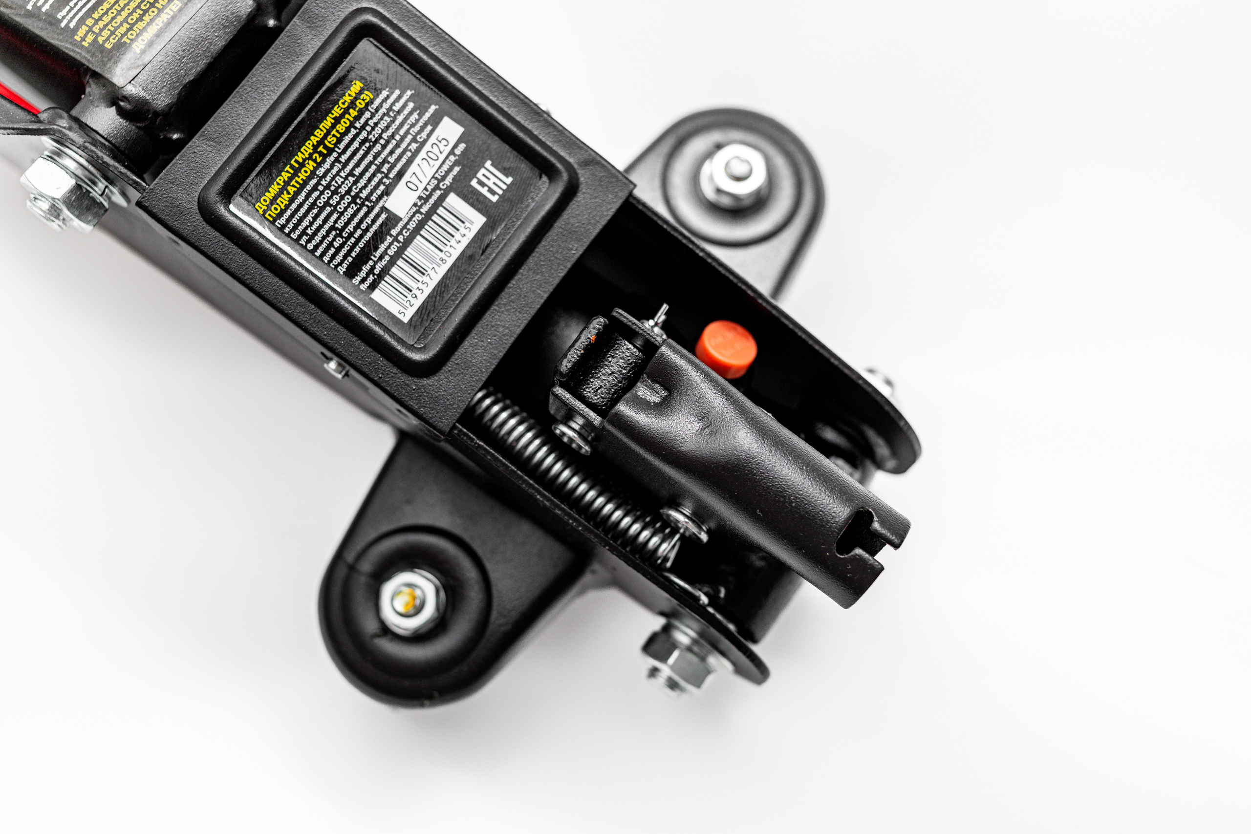 ФОТО. Фотограф Алина Гашникова