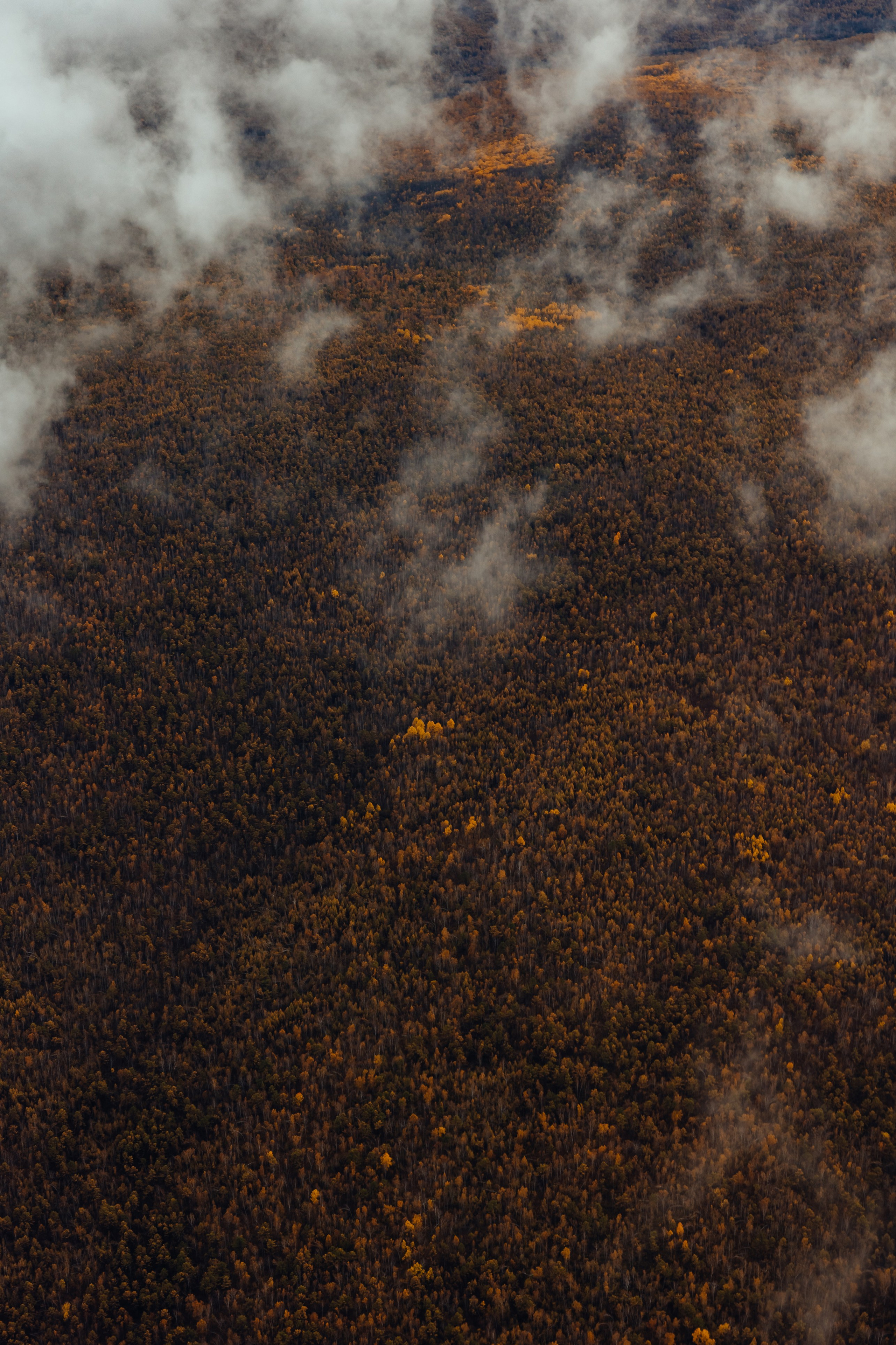 Репортаж. Фотограф Станислав Викулов в Чите