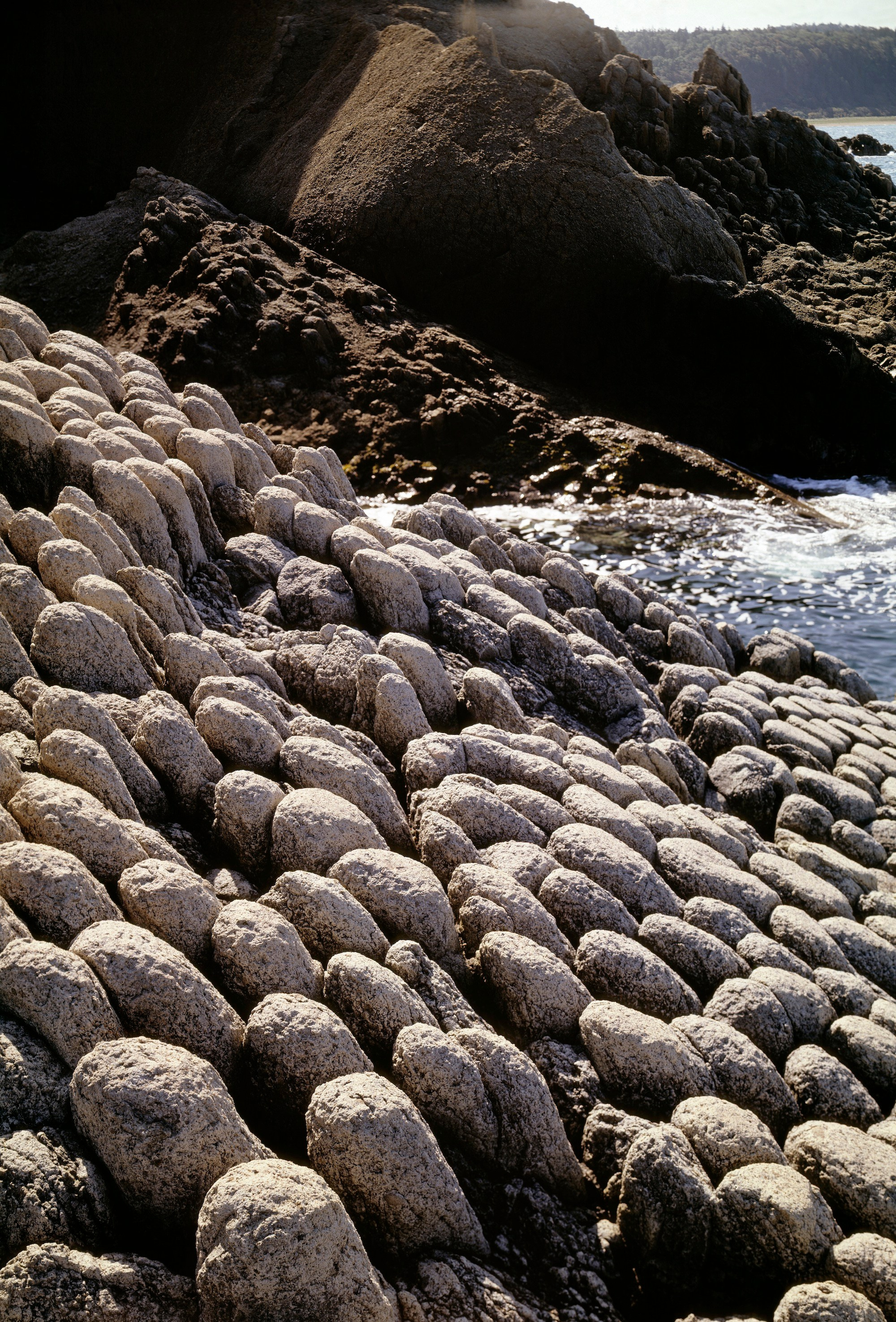 Столбчатые породы