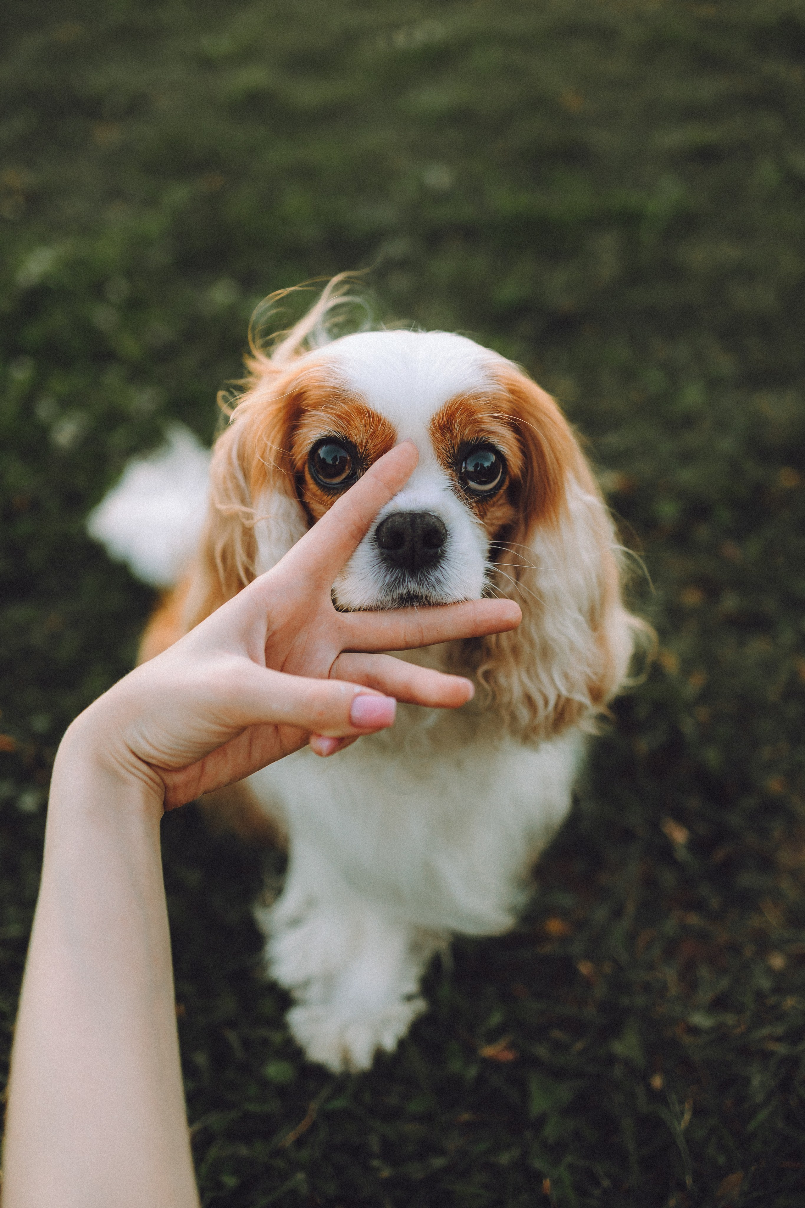 Наташа и Вики