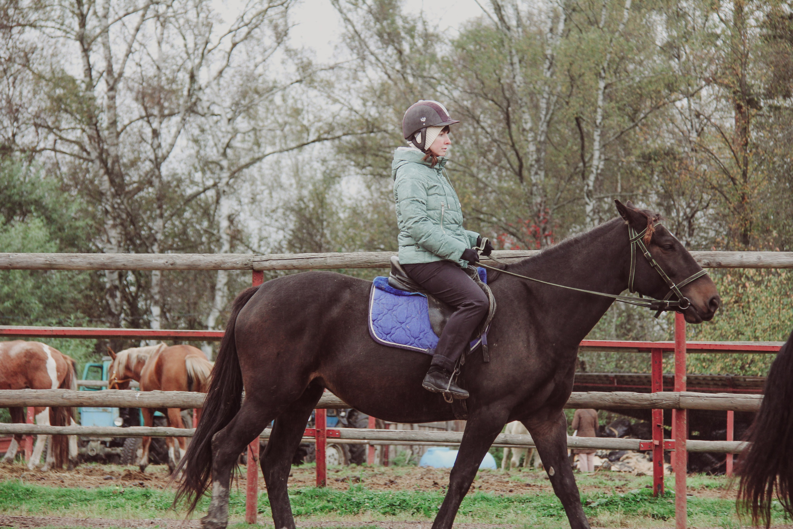 Лошадинг | 27.09.2025. Галерея Фантим