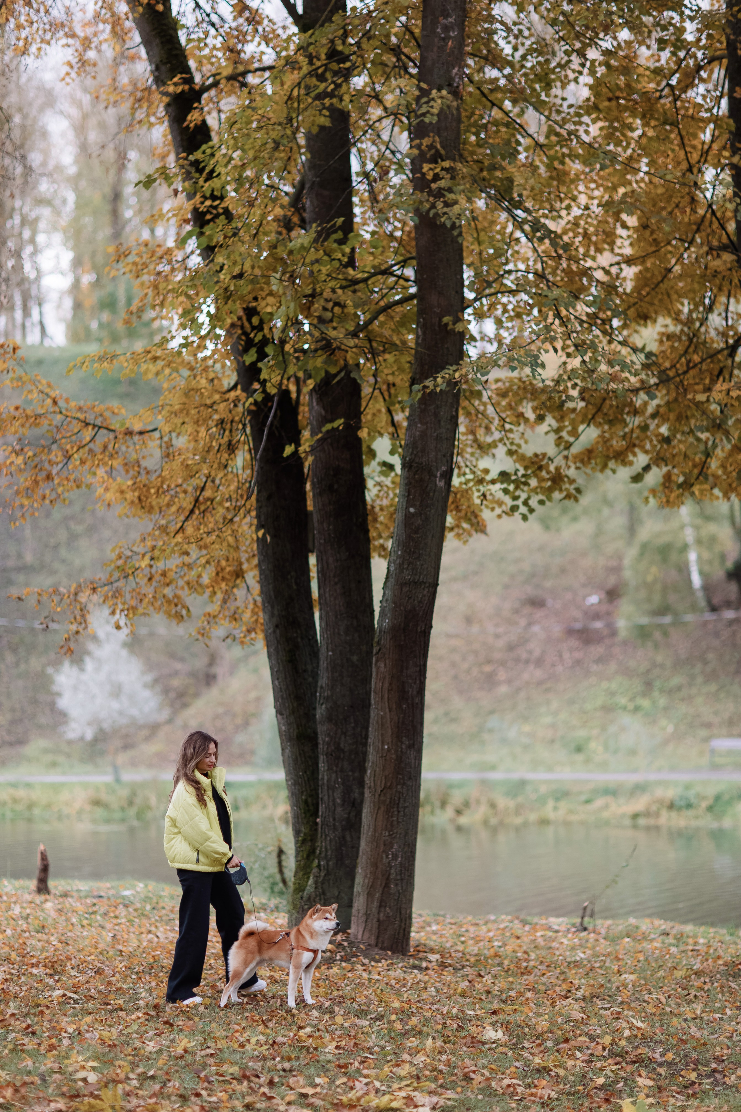 Юлия. Свадебный фотограф