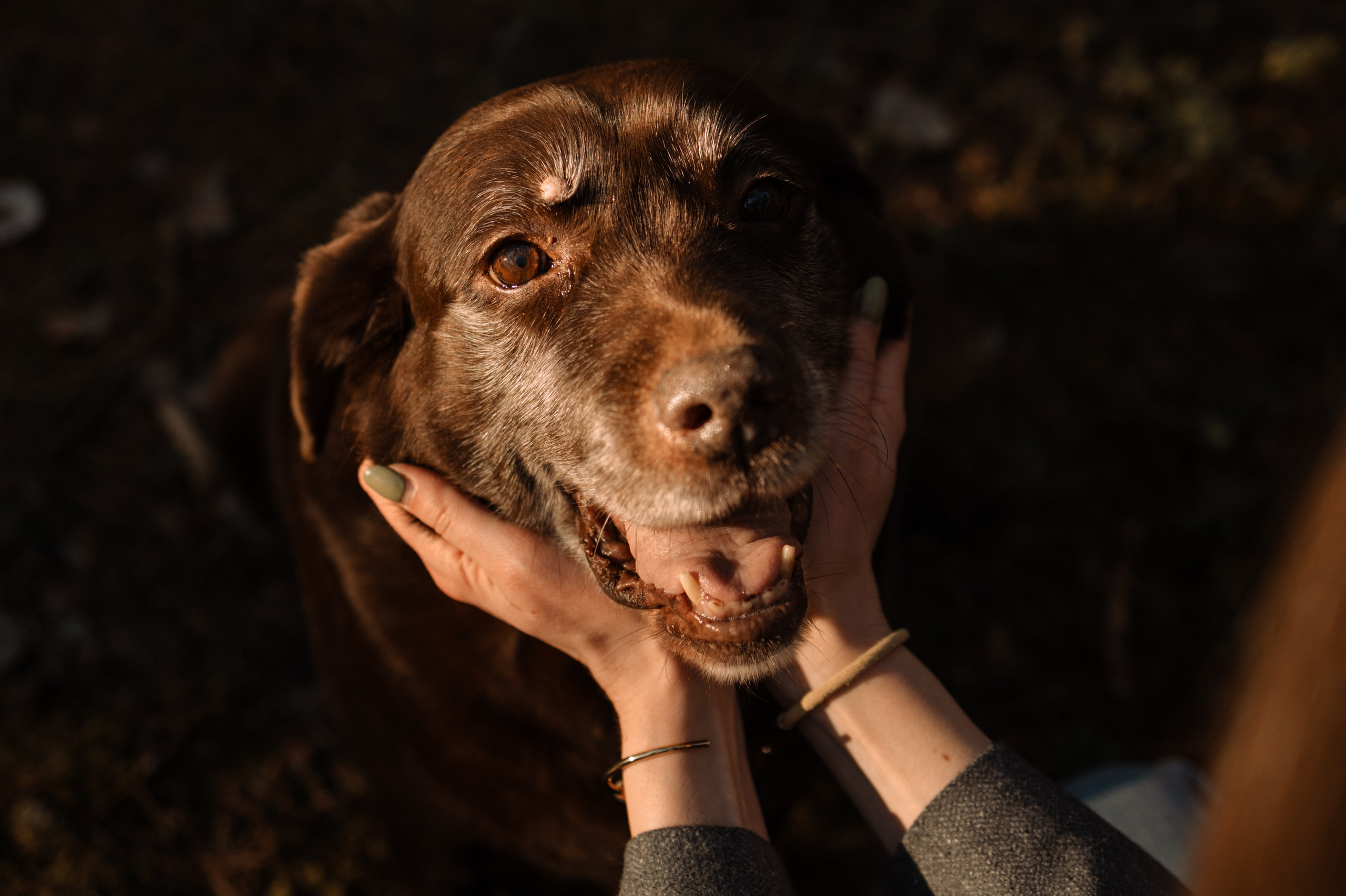 Оля и Питоня. Фотограф — Анималист | Санкт-Петербург