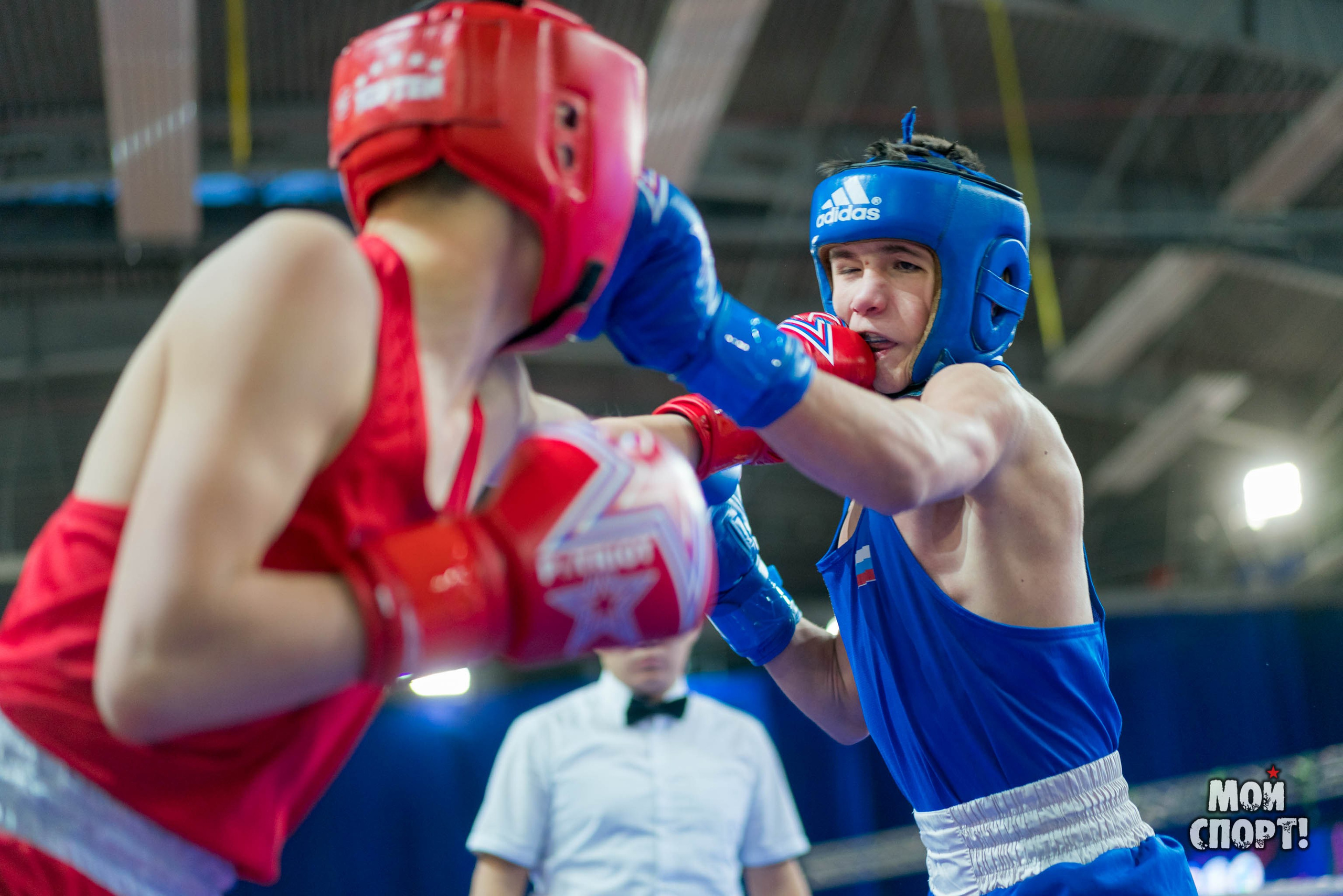 Открытый Всероссийский Турнир по боксу пам. А. И. Пахомова. Студия «Мой Спорт!» — все о спорте в Якутии