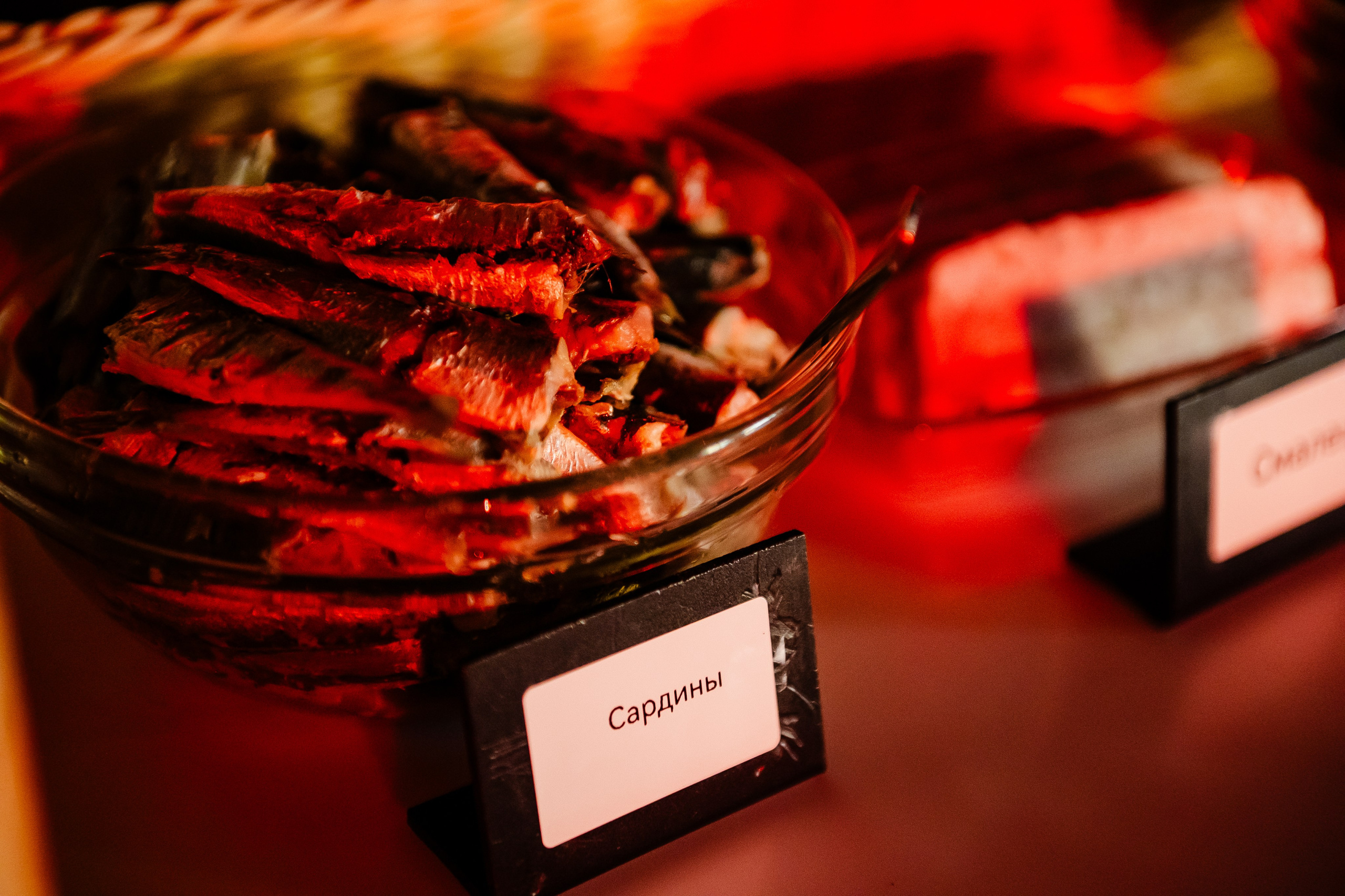 Мероприятие в честь открытия выставки. DariaRock / Фотограф Екатеринбург