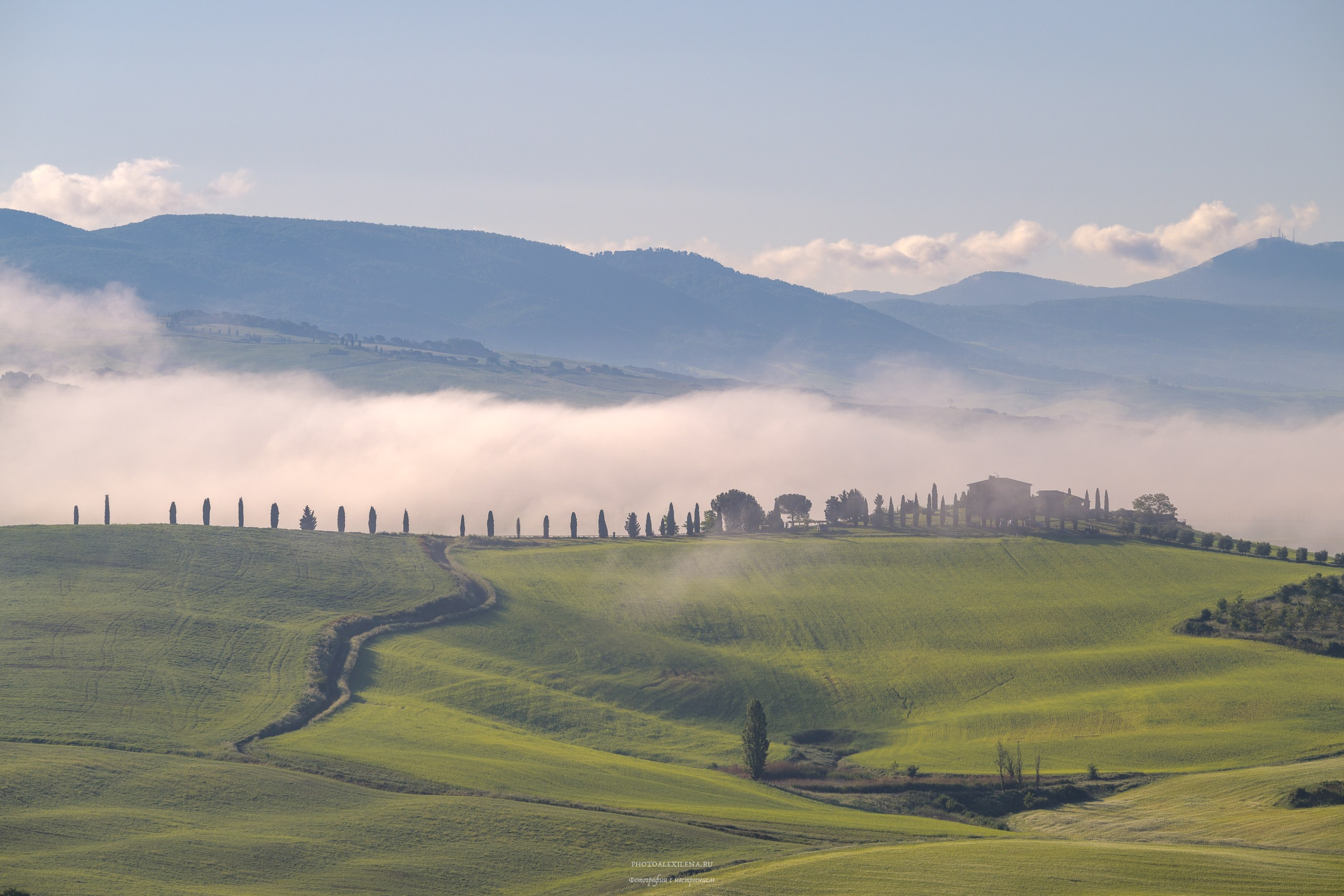 Волшебное утро в Тоскане. Авторские стильные фотокартины