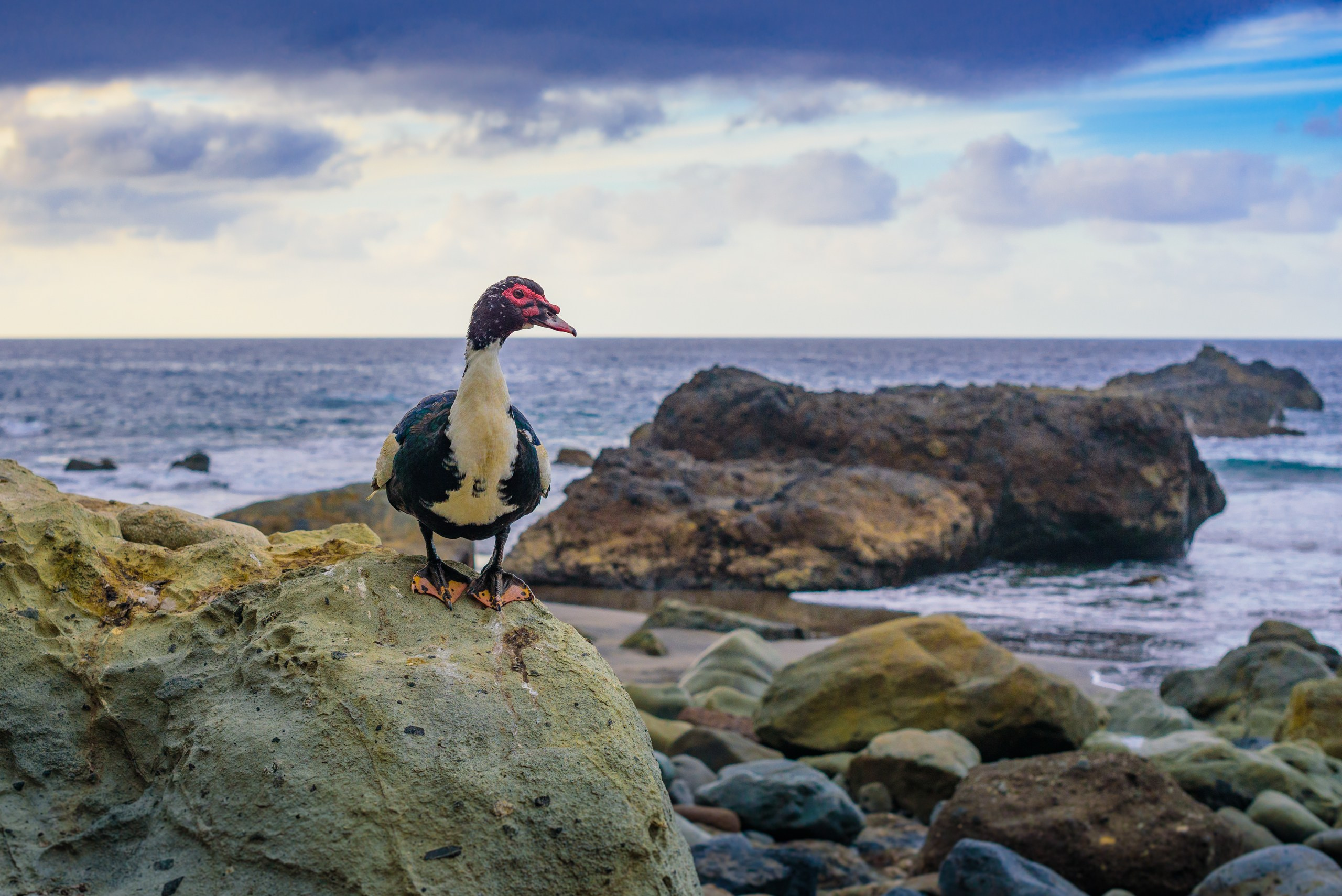 Пейзажная фотография. Авторские стильные фотокартины
