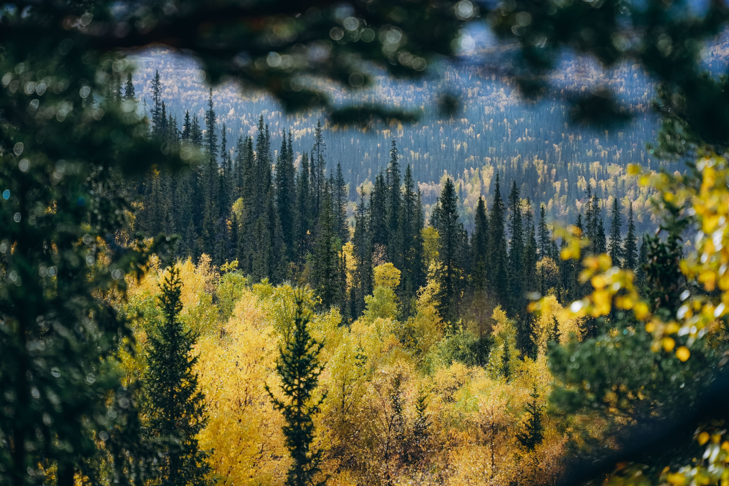 СЕВЕР. Event фотограф Степанова Александра