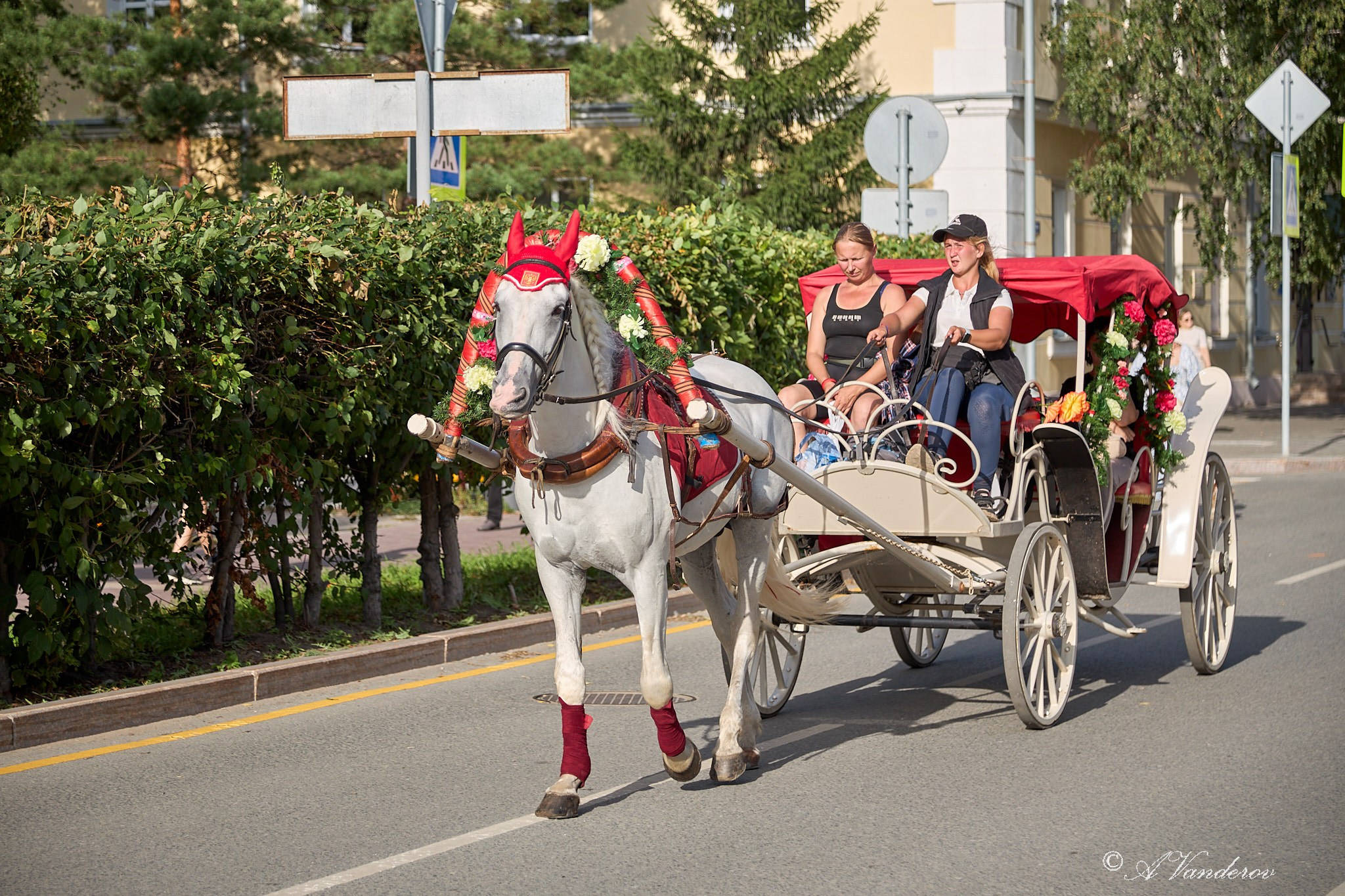 День города 2025. Фотограф Омск | Александр Вандеров