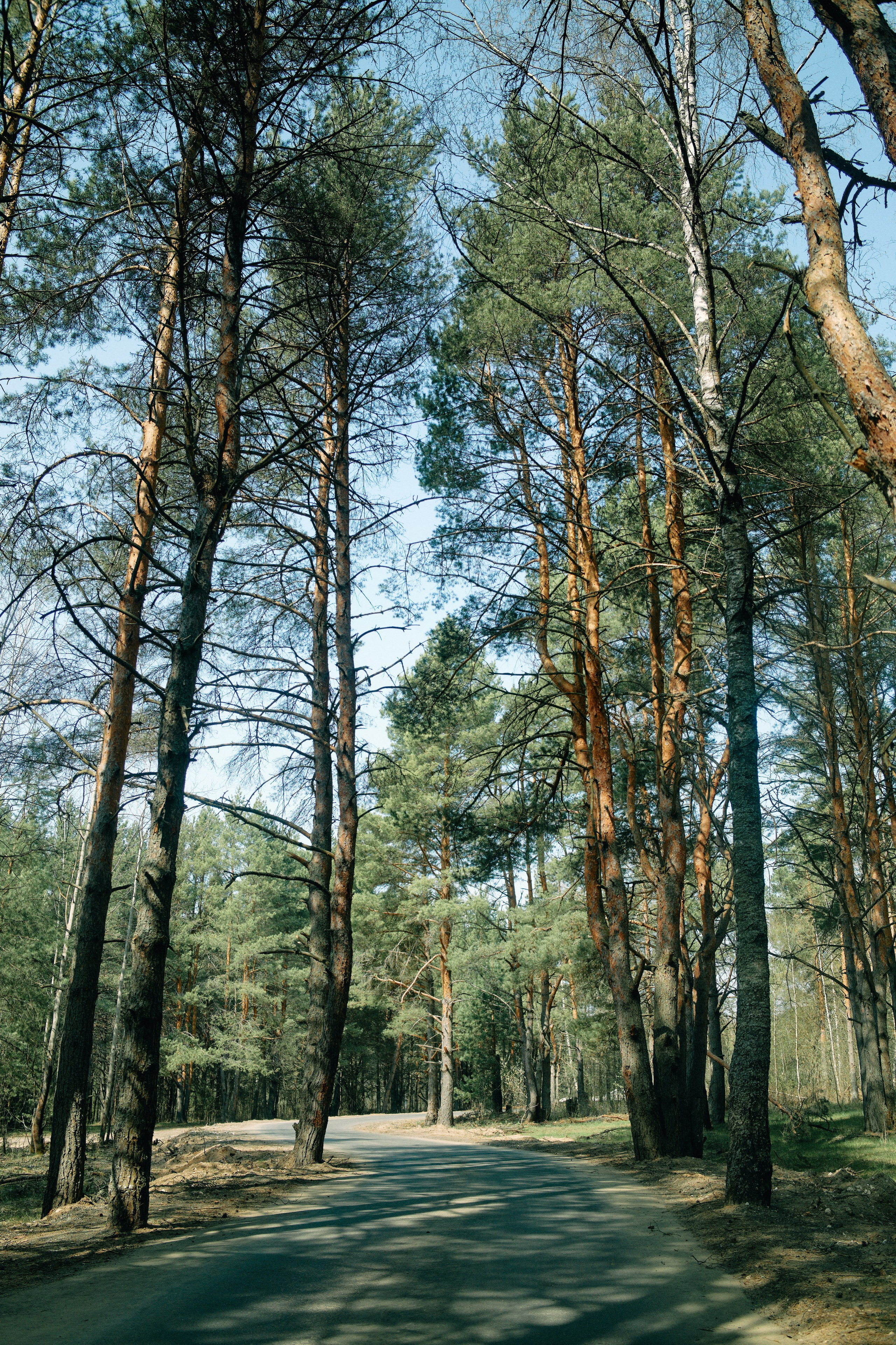Бутик-отель Поле летом. Профессиональный Фотограф во Владимире, в Москве и в Суздале — Полина Романычева