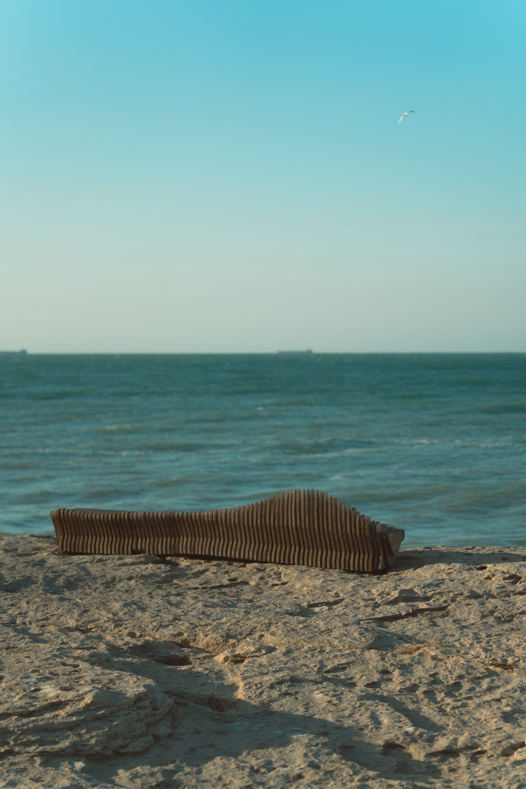 Актау, Ноябрь 2024