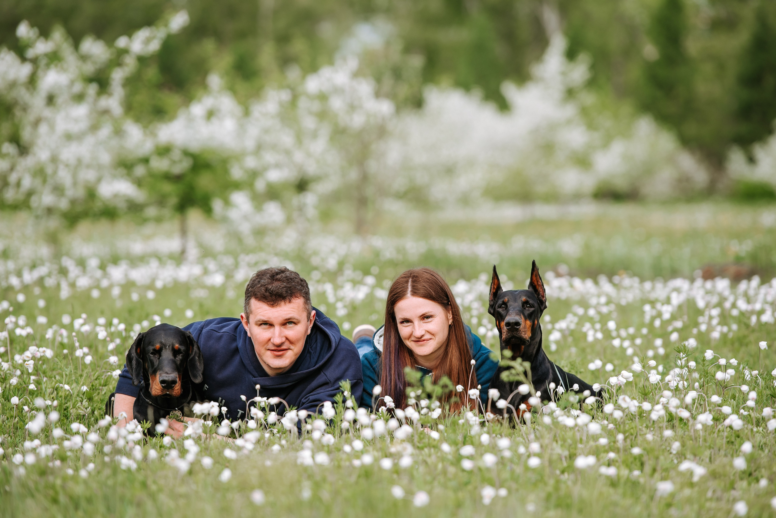 Цветение с доберманами. Фотограф Диана Оленина Красноярск / Братск