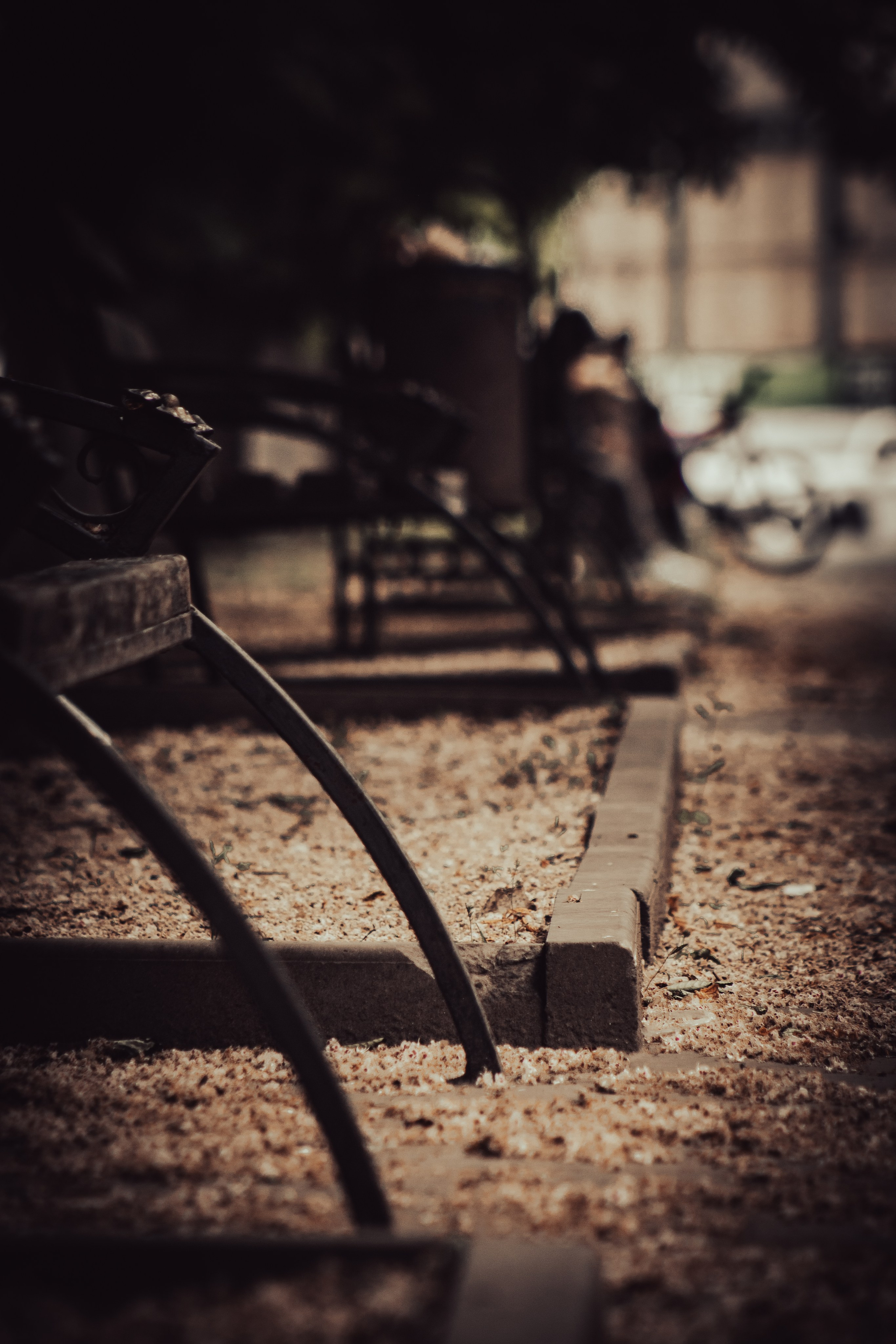 Даниил. Илья Чемис — Фотограф в Мариуполе