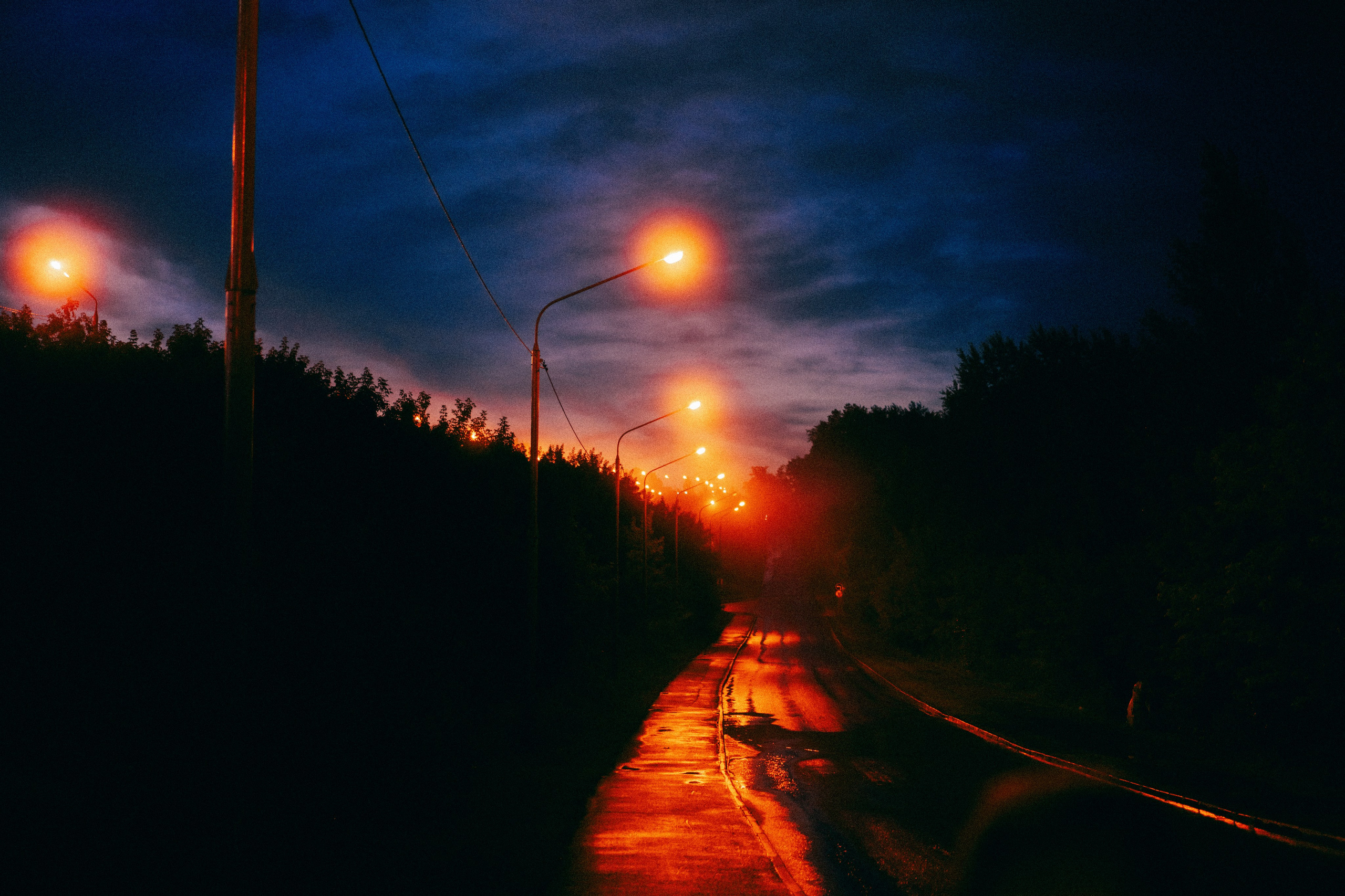 Прогулка после дождя. Veronika Popadeikina Photographer