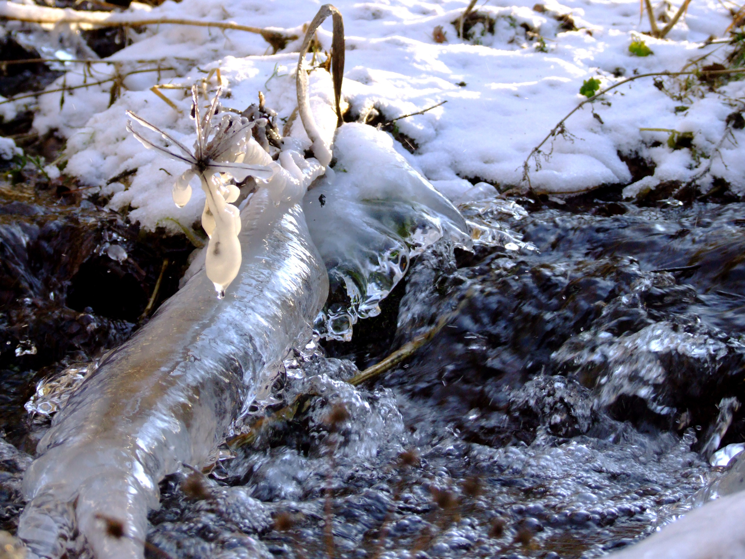 Живописные фотографии природы. Фотограф в Москве и Подмосковье, Николай Сорокин