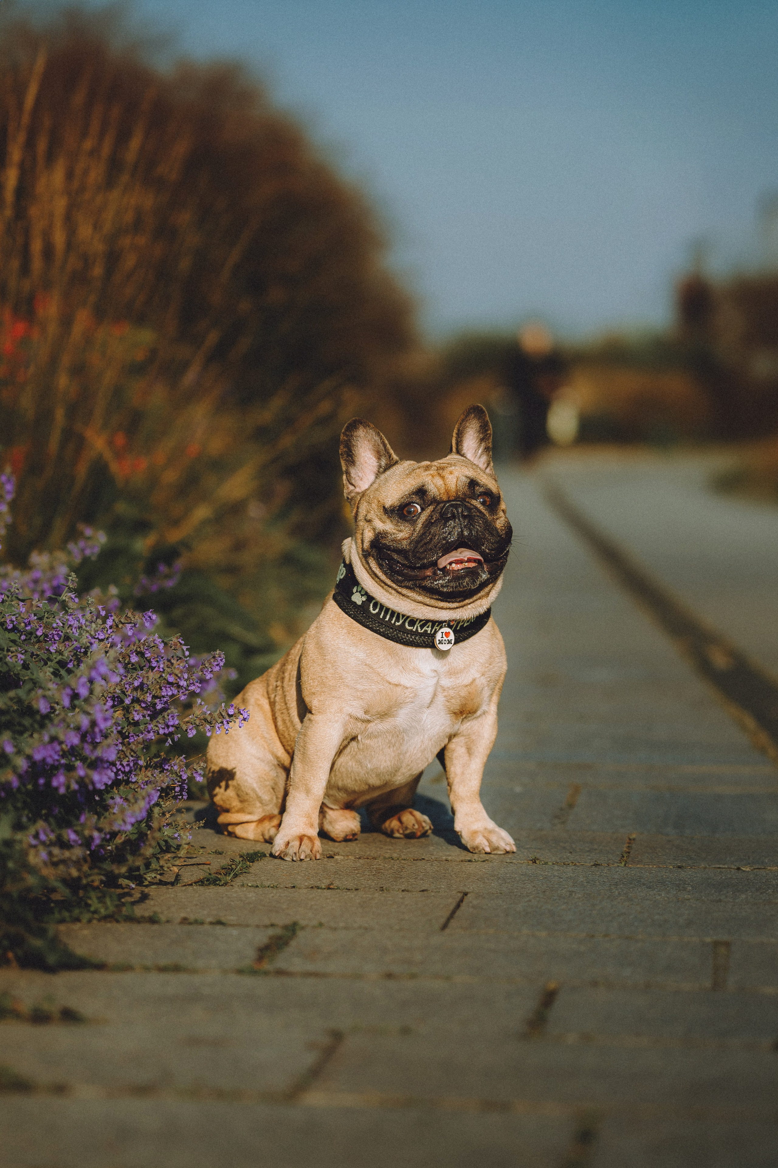 Настя, Женя и Хонор