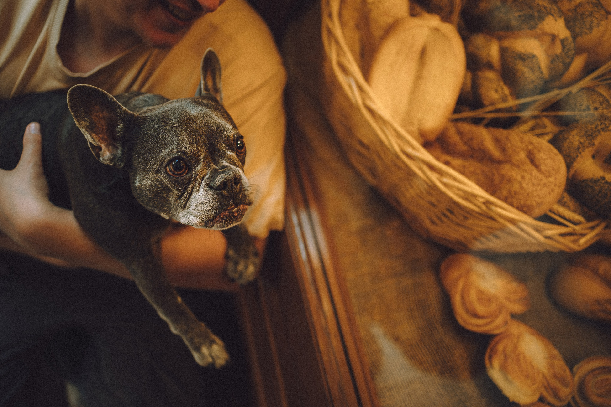 Юля, Вова и Моня