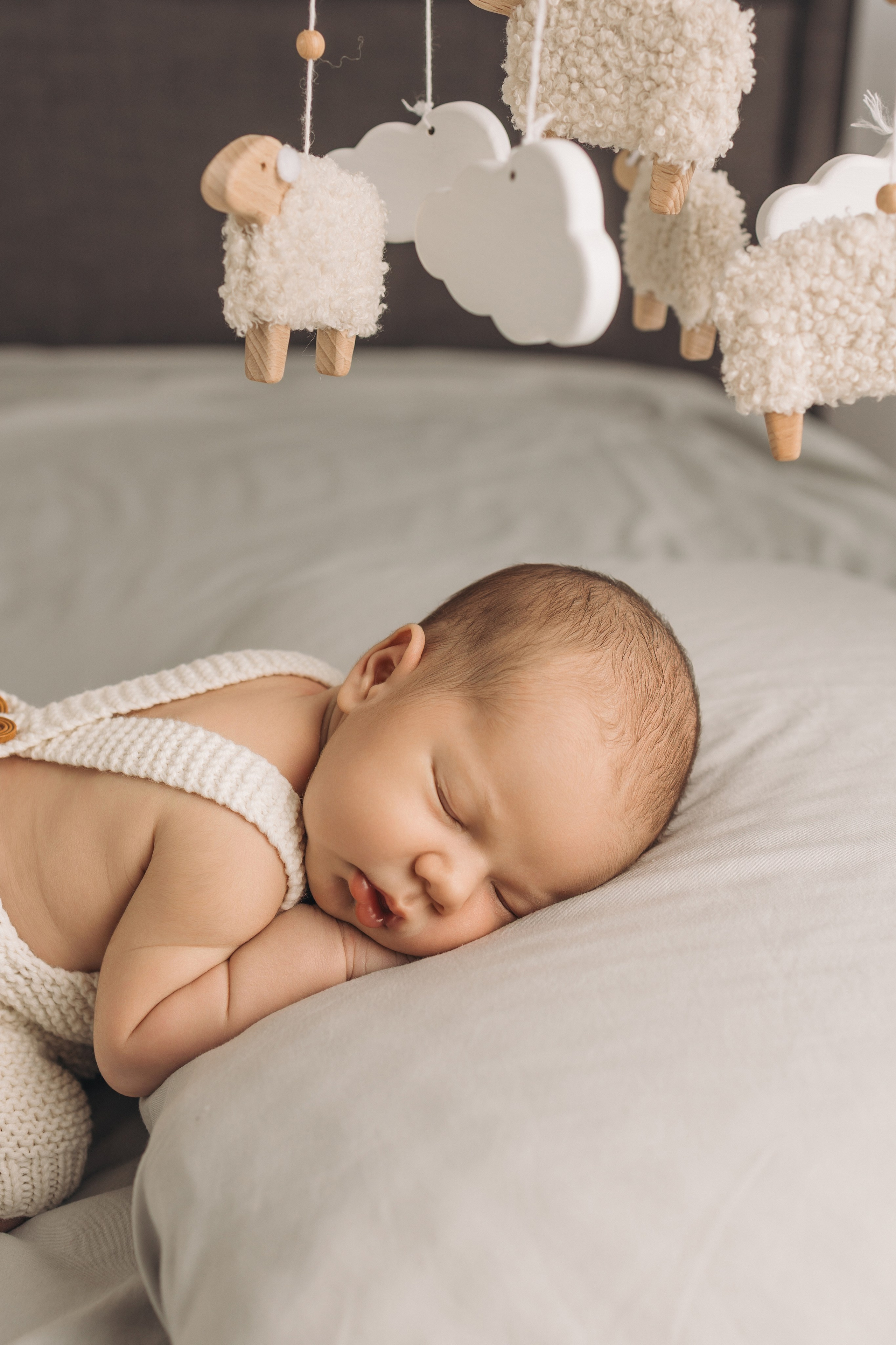 Лев 7 дней. Фотограф новорождённых Newborn Москва