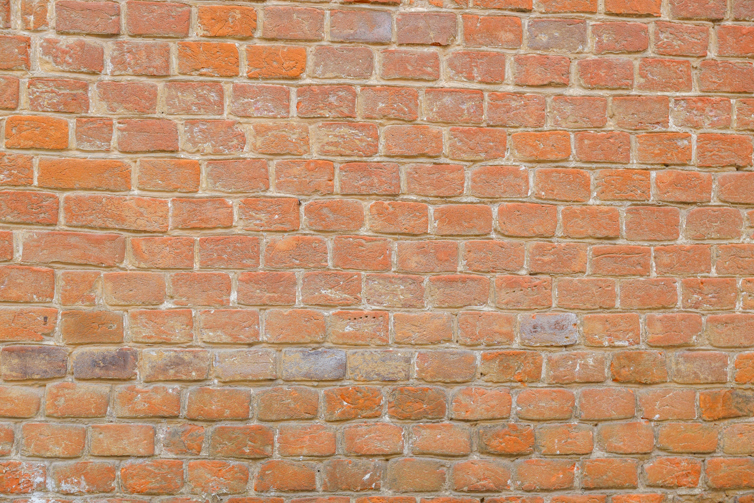 Поездка в Белев и на производство пастилы. Фотограф в Туле Крупский АнДРей. Фотостудия «КАДР71» в Туле