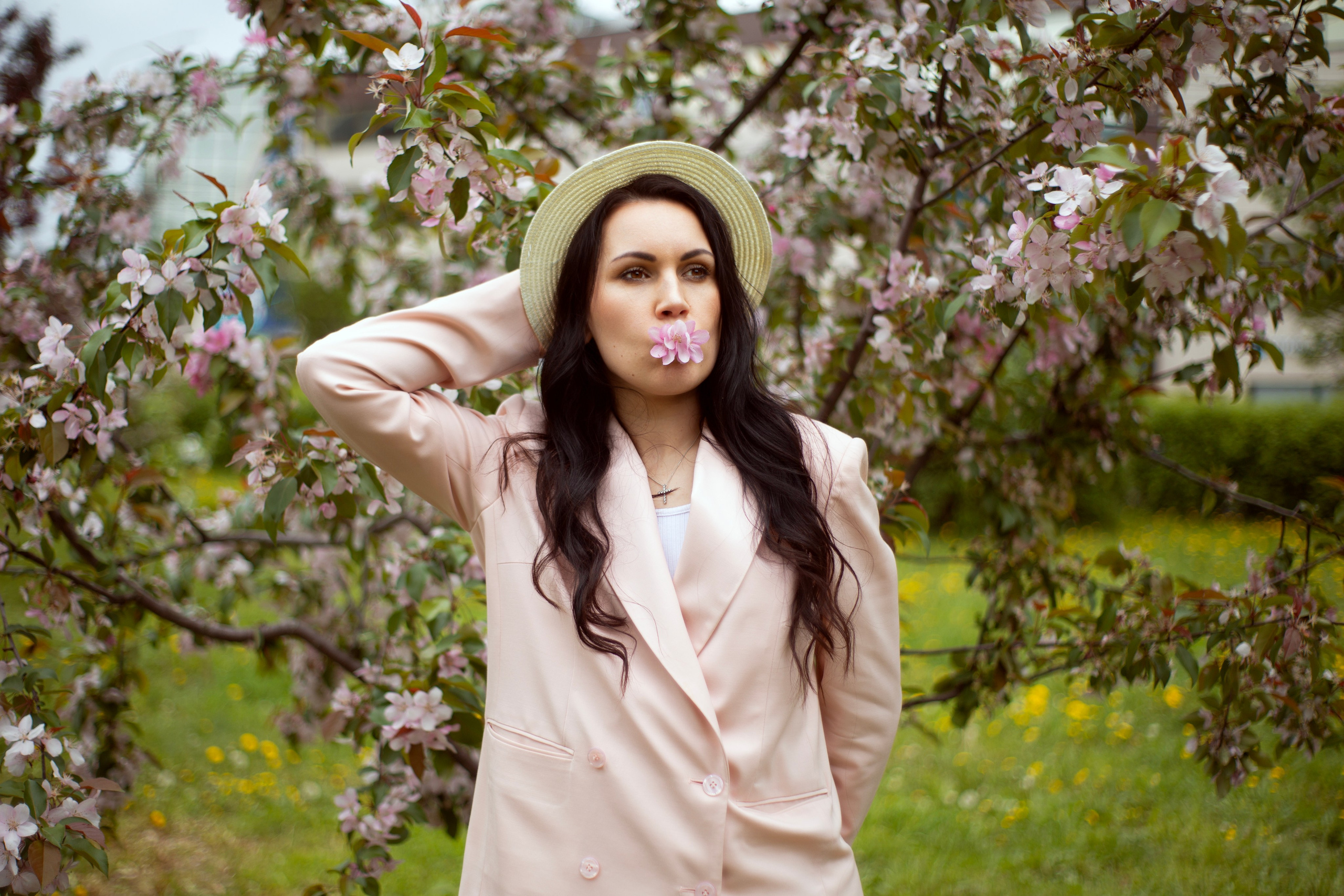 Цветение. Главная