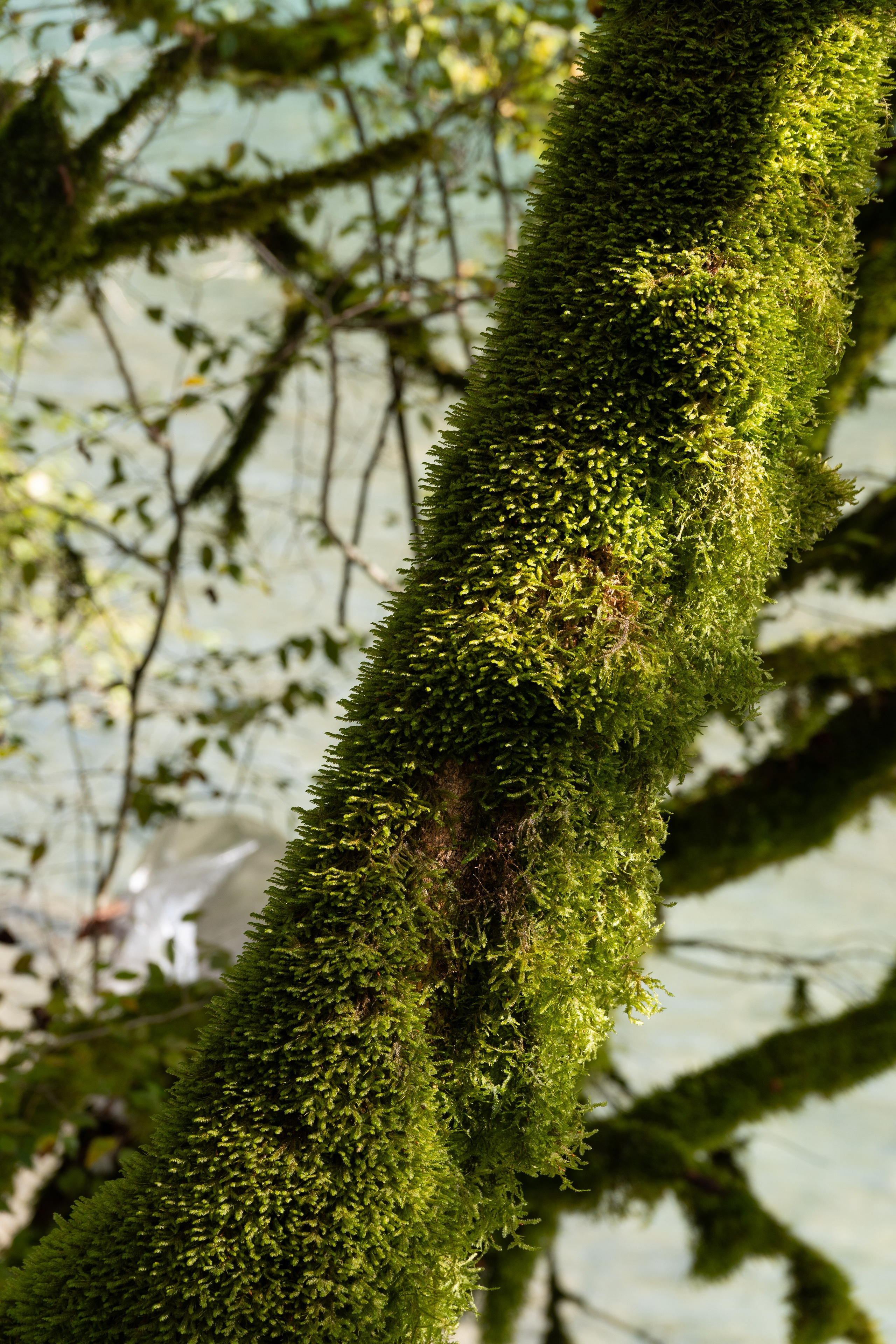 Абхазия. Gusarov Travel Photography