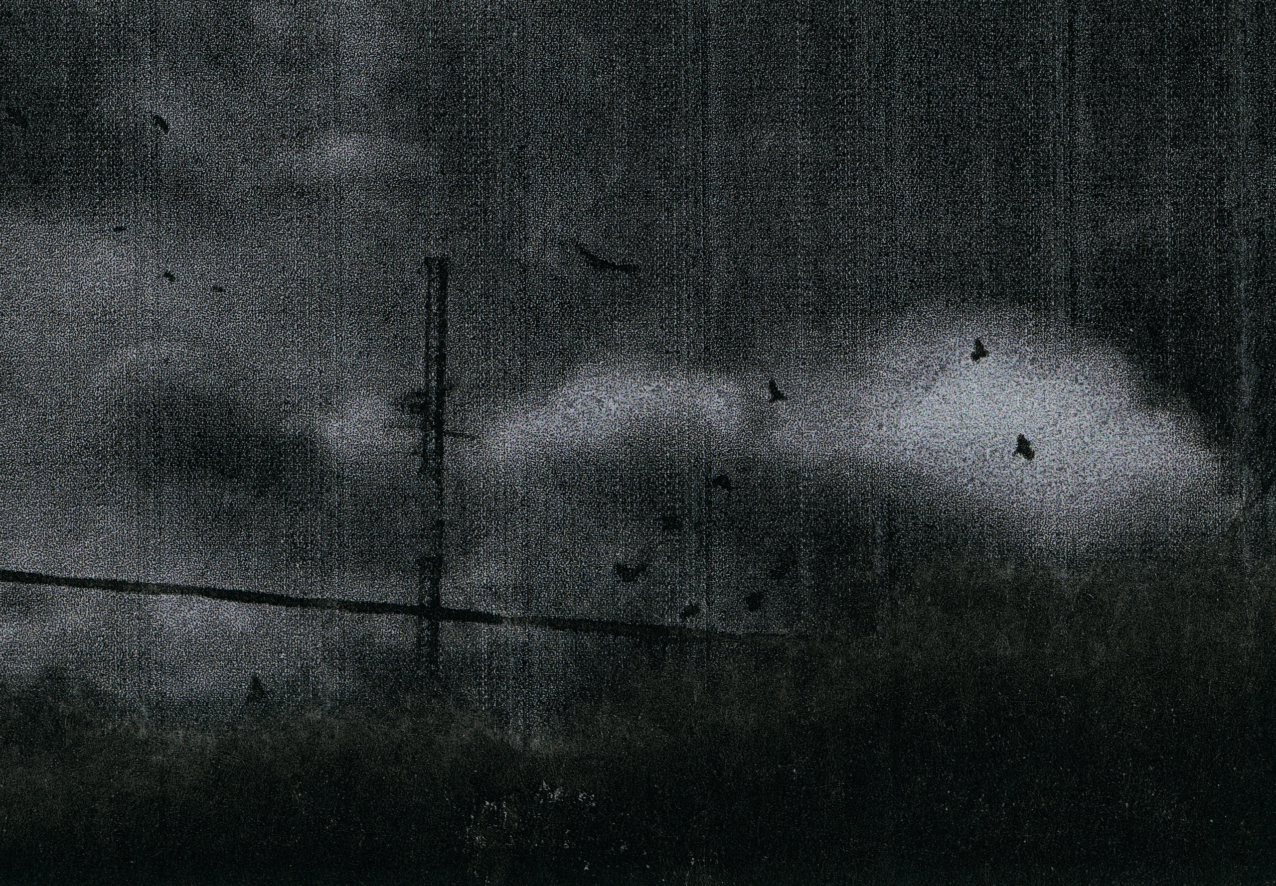 I Hear the Birds. Viktoria Kovshikova