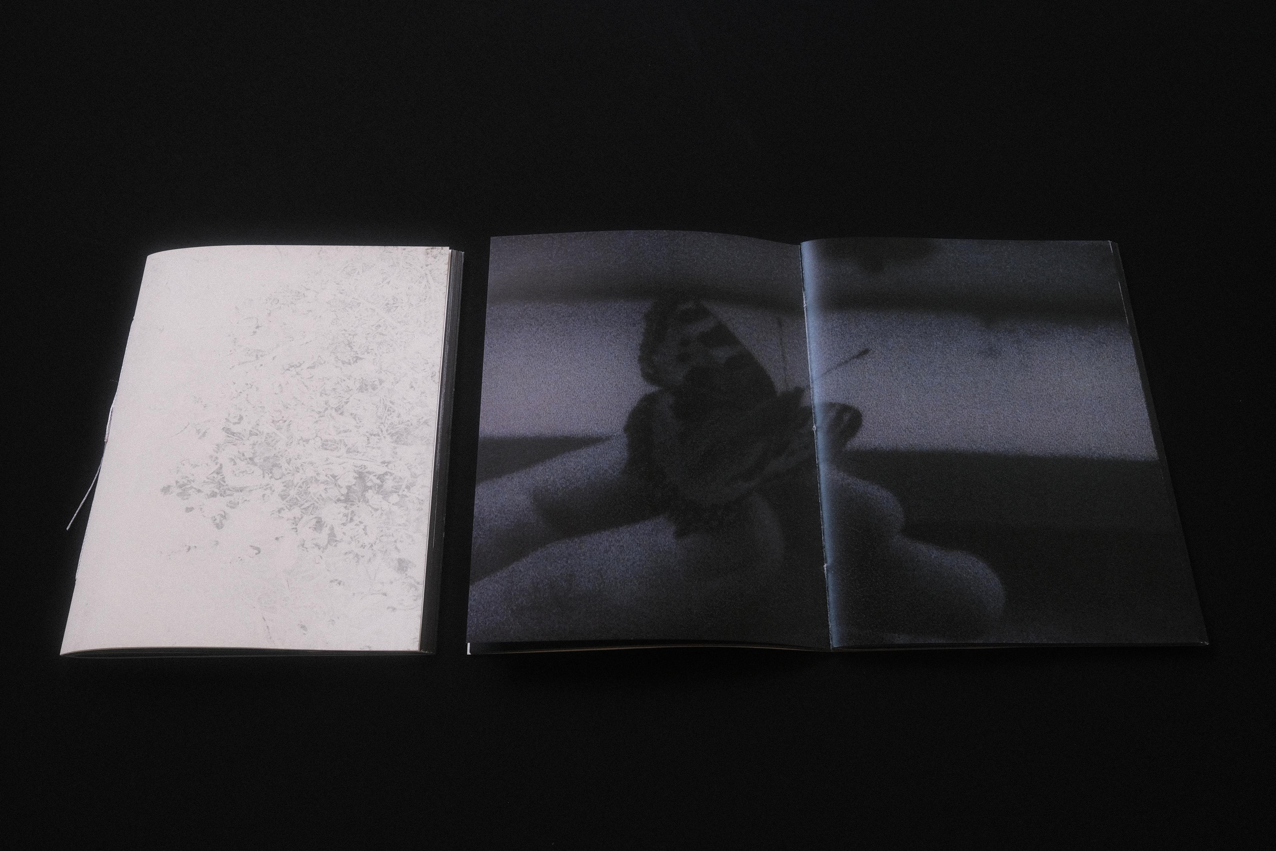 I Hear the Birds. Viktoria Kovshikova