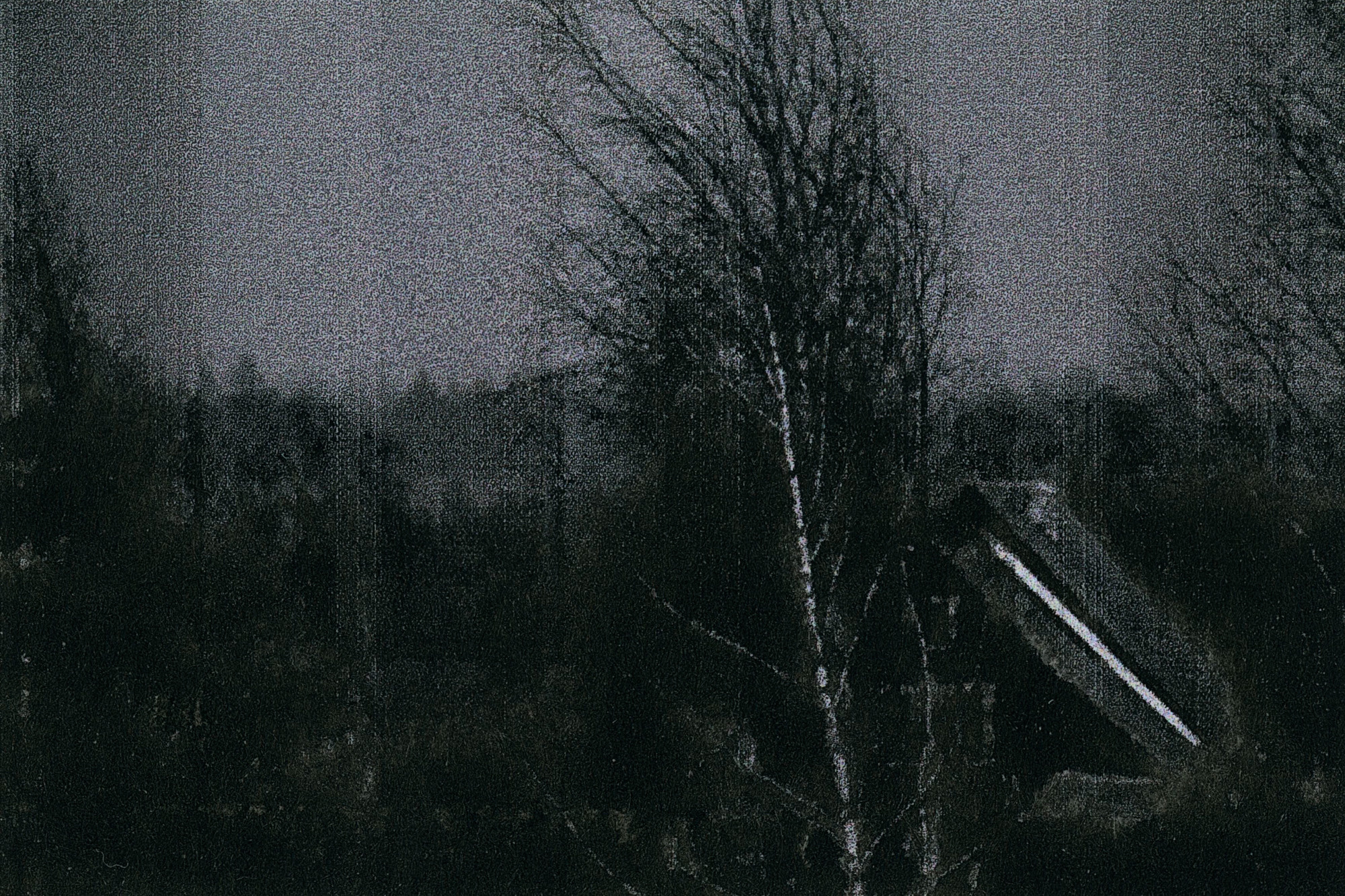 I Hear the Birds. Viktoria Kovshikova