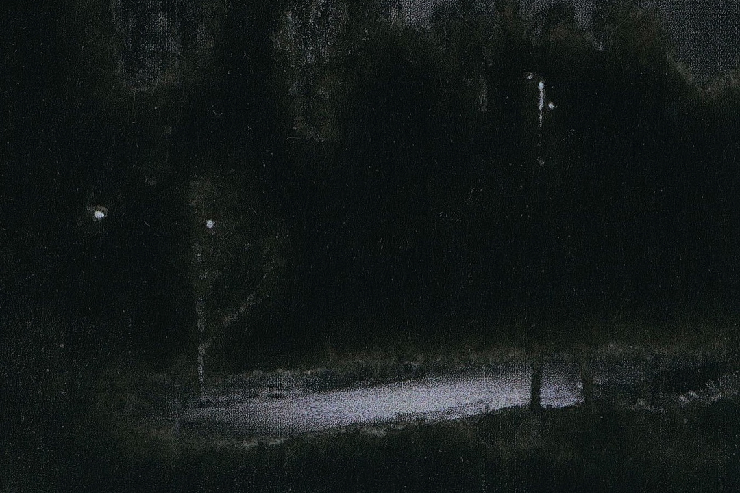 I Hear the Birds. Viktoria Kovshikova