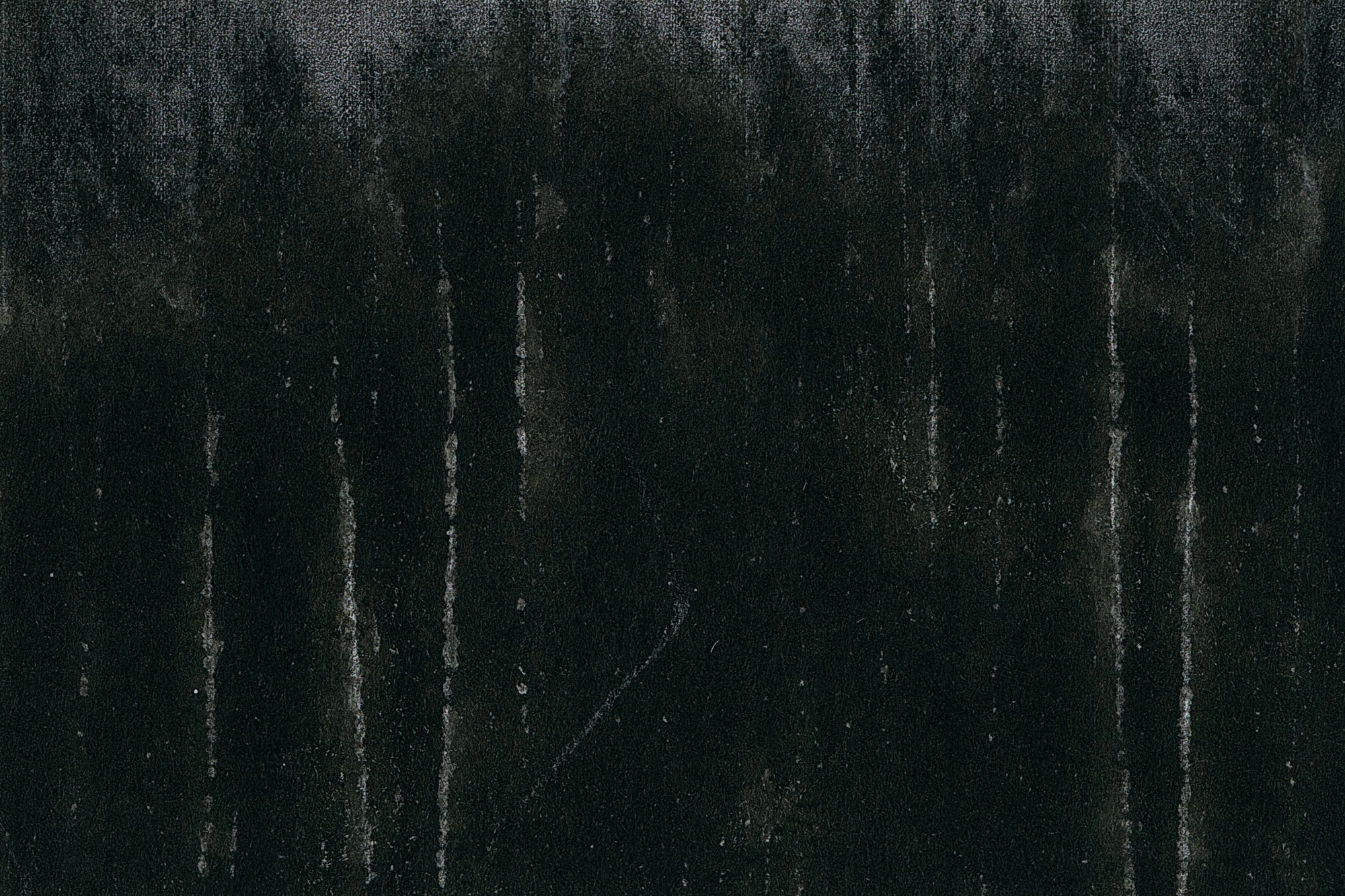 I Hear the Birds. Viktoria Kovshikova