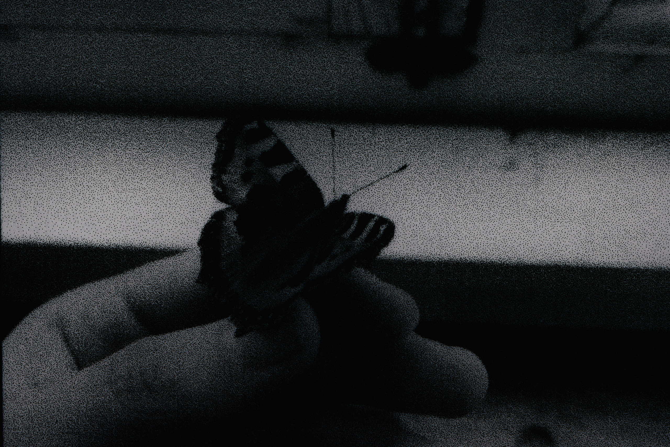 I Hear the Birds. Viktoria Kovshikova