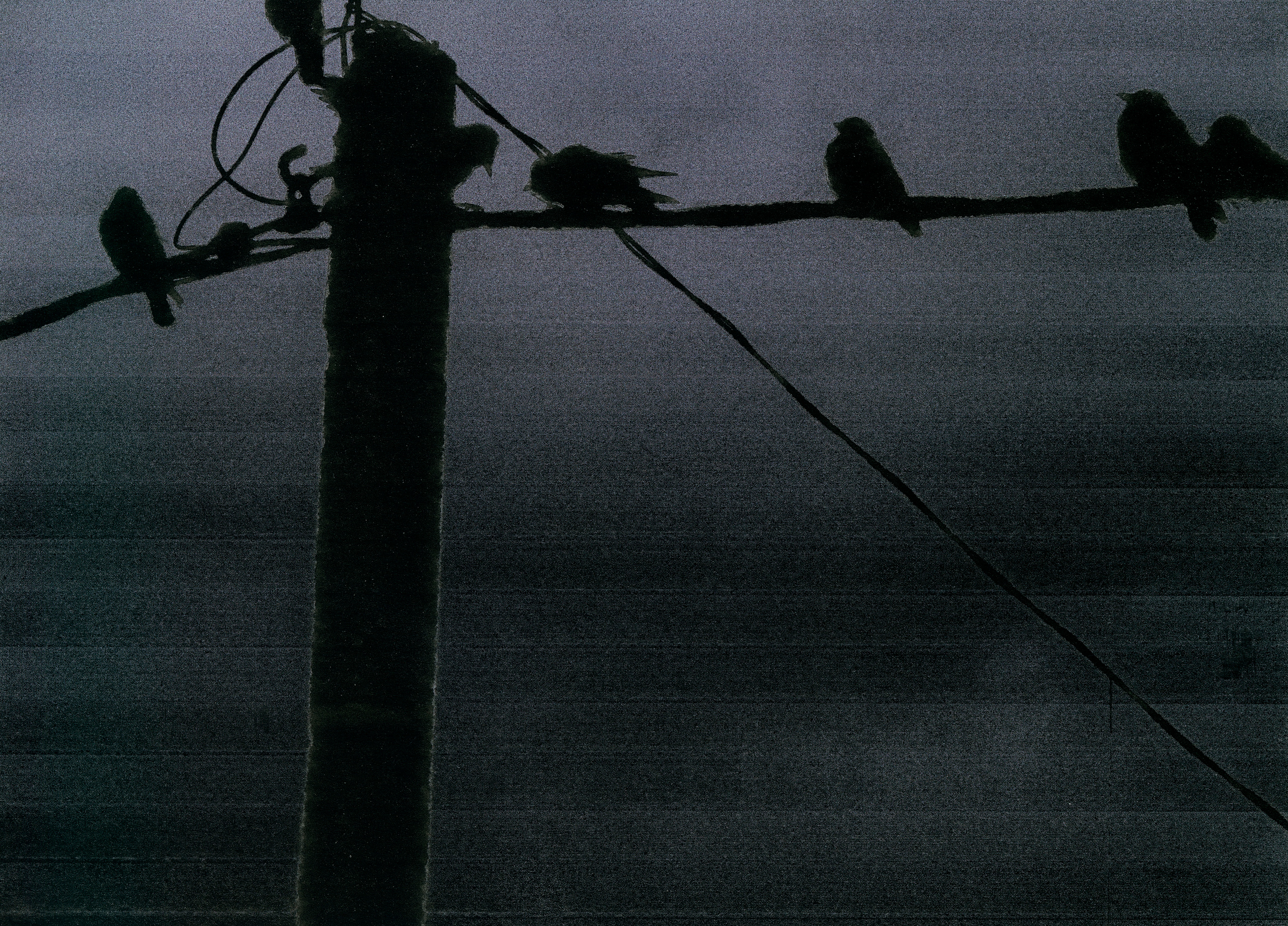 I Hear the Birds. Viktoria Kovshikova