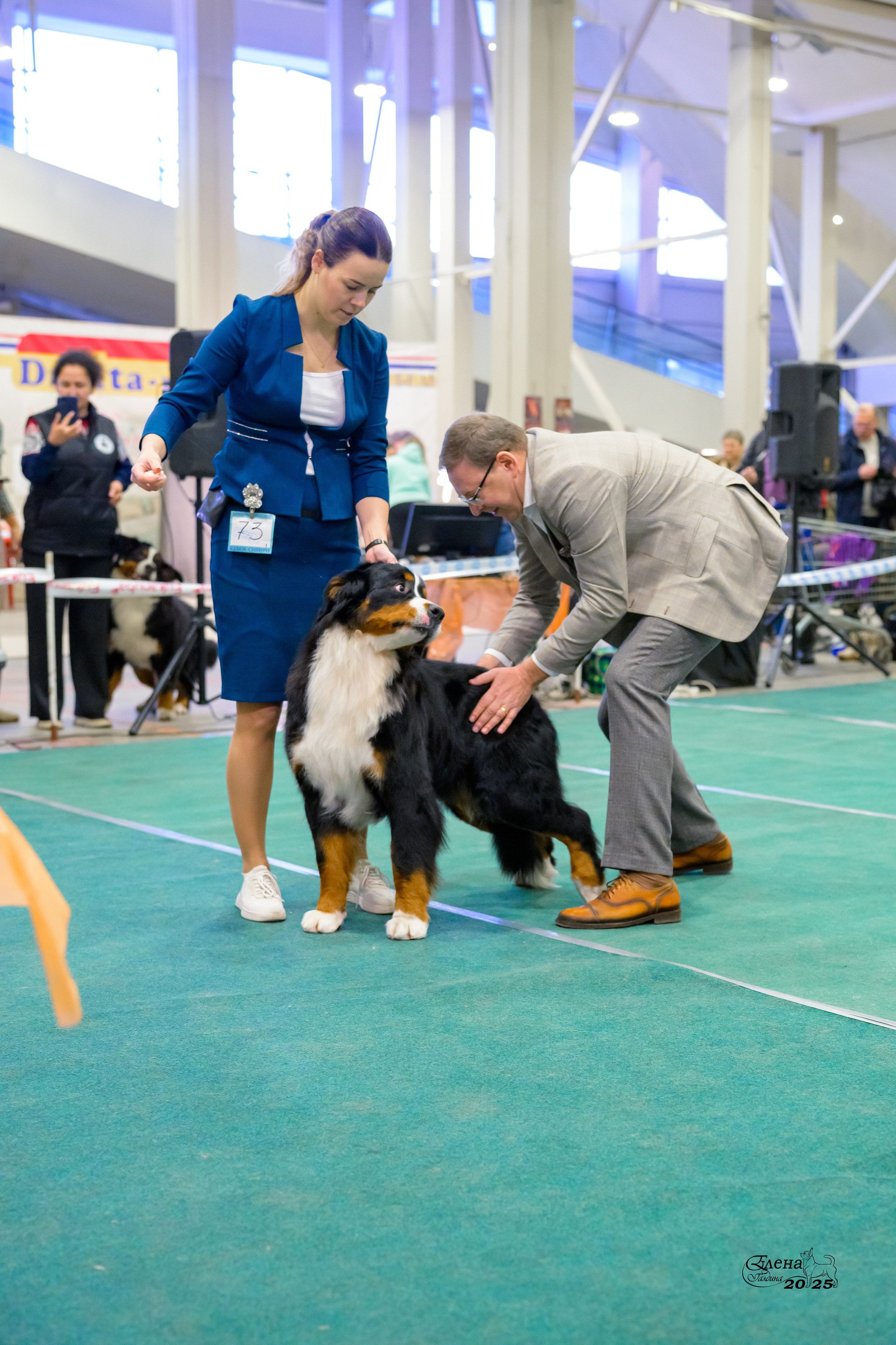 6-7.12.2025 г.Новосибирск. Фотограф анималист Елена Галдина г. Красноярск