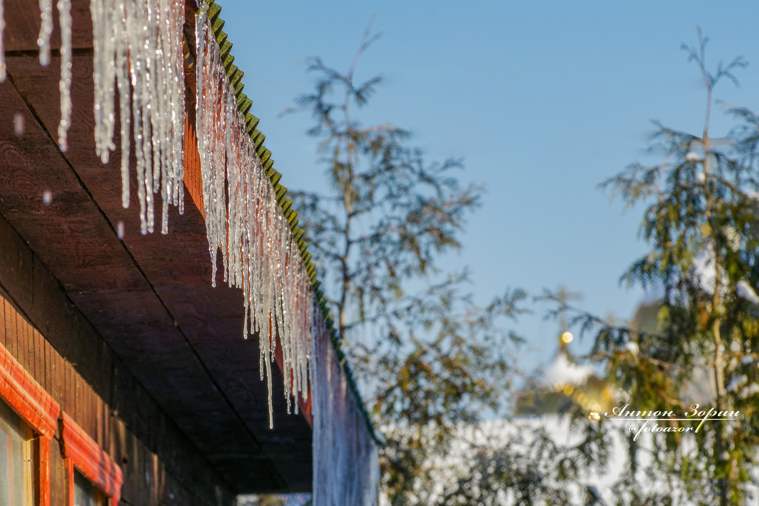 Конная охота. Семейный и детский фотограф Антон Зорин