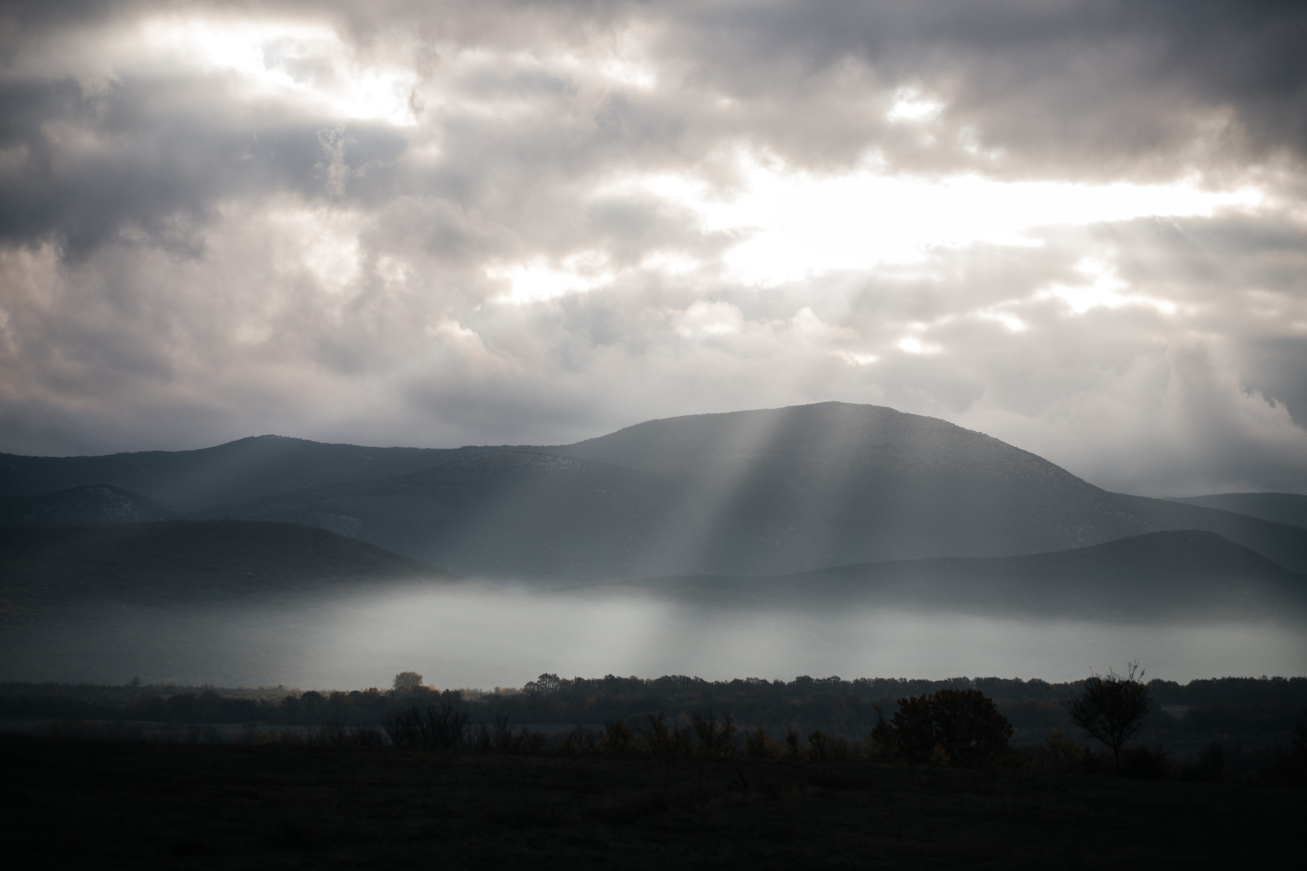 Одним пасмурным утром. Свадебный и семейный фотограф в Севастополе и в Крыму Анастасия Корчак
