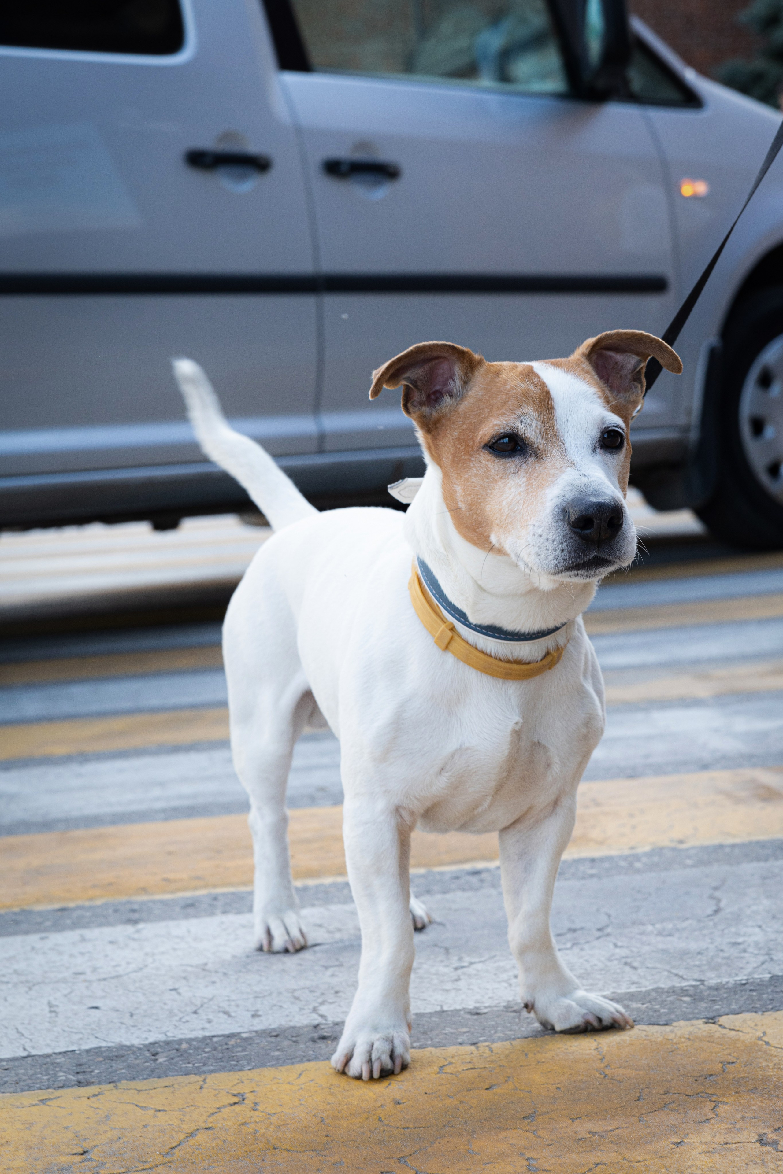 Прогулочная фотосессия в городской среде. Фотограф Лабутина Александра. Портретный и репортажный фотограф из Нижнего Новгорода Александра Лабутина