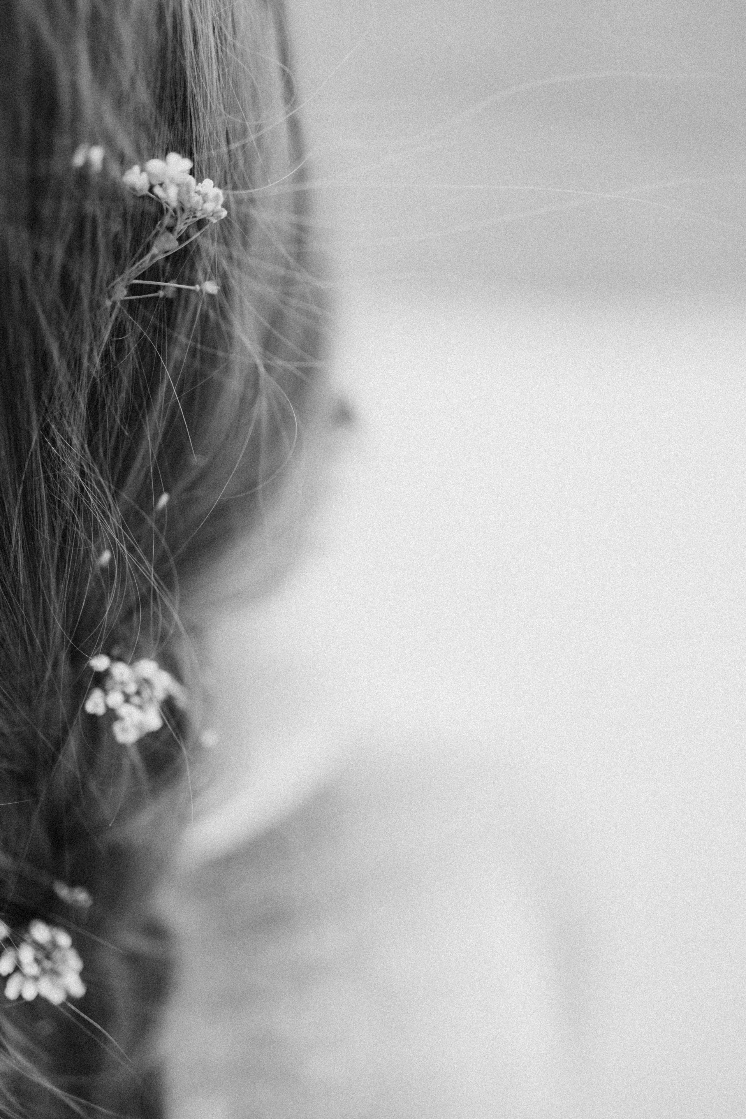 Семейный фотограф Москва Калининград СПб